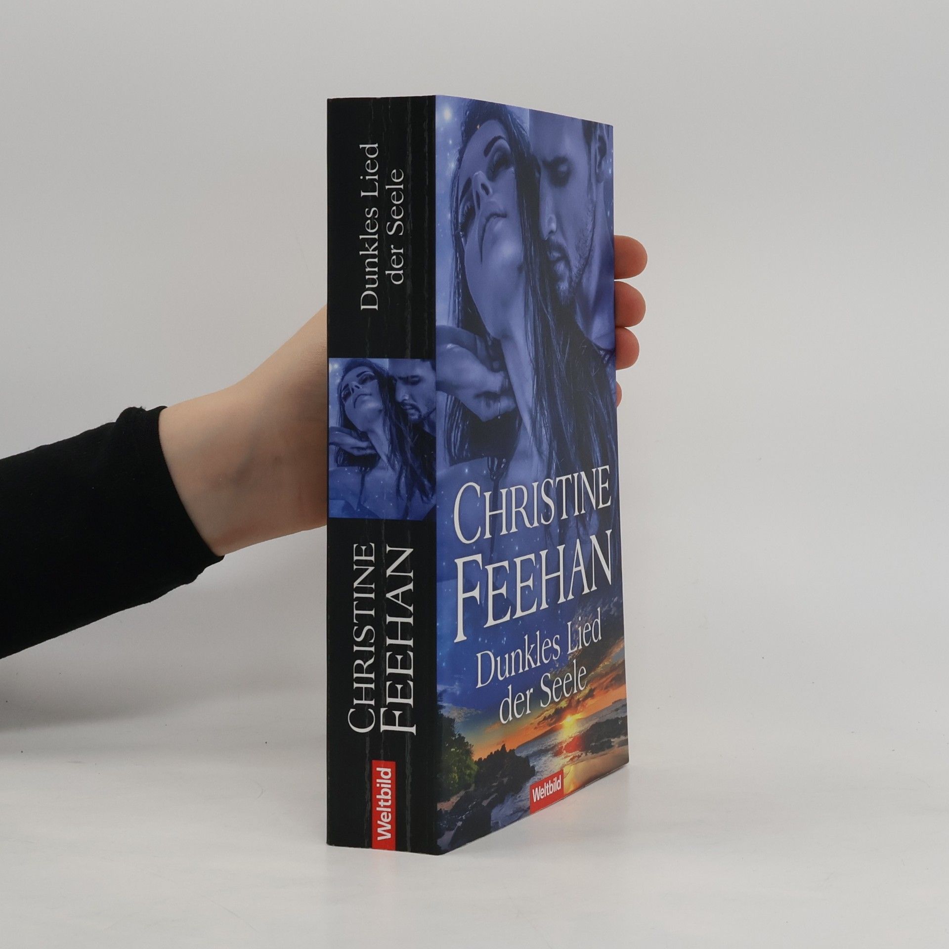 Christine Feehan Dunkles Lied der Seele