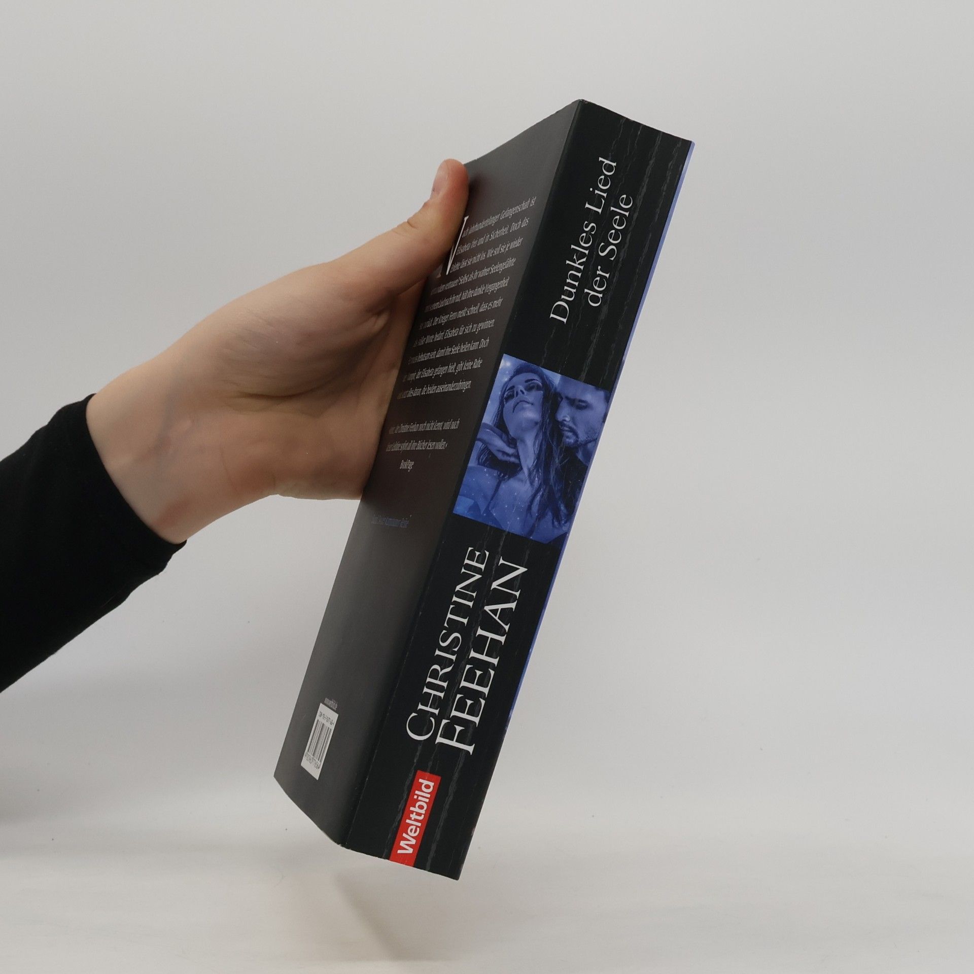 Christine Feehan Dunkles Lied der Seele