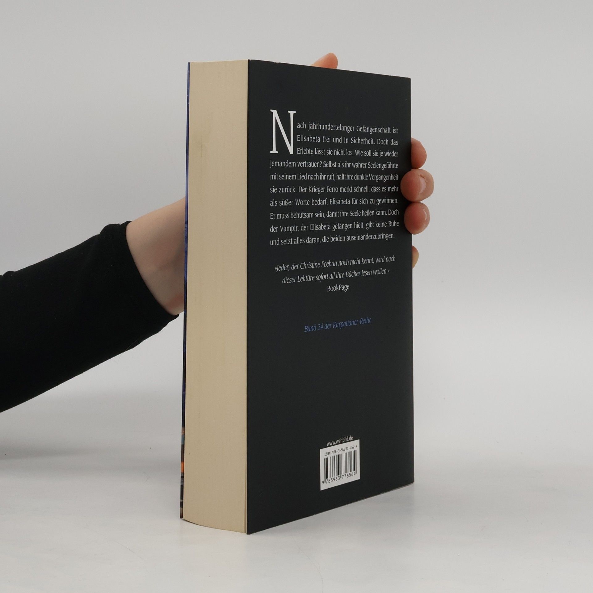 Christine Feehan Dunkles Lied der Seele