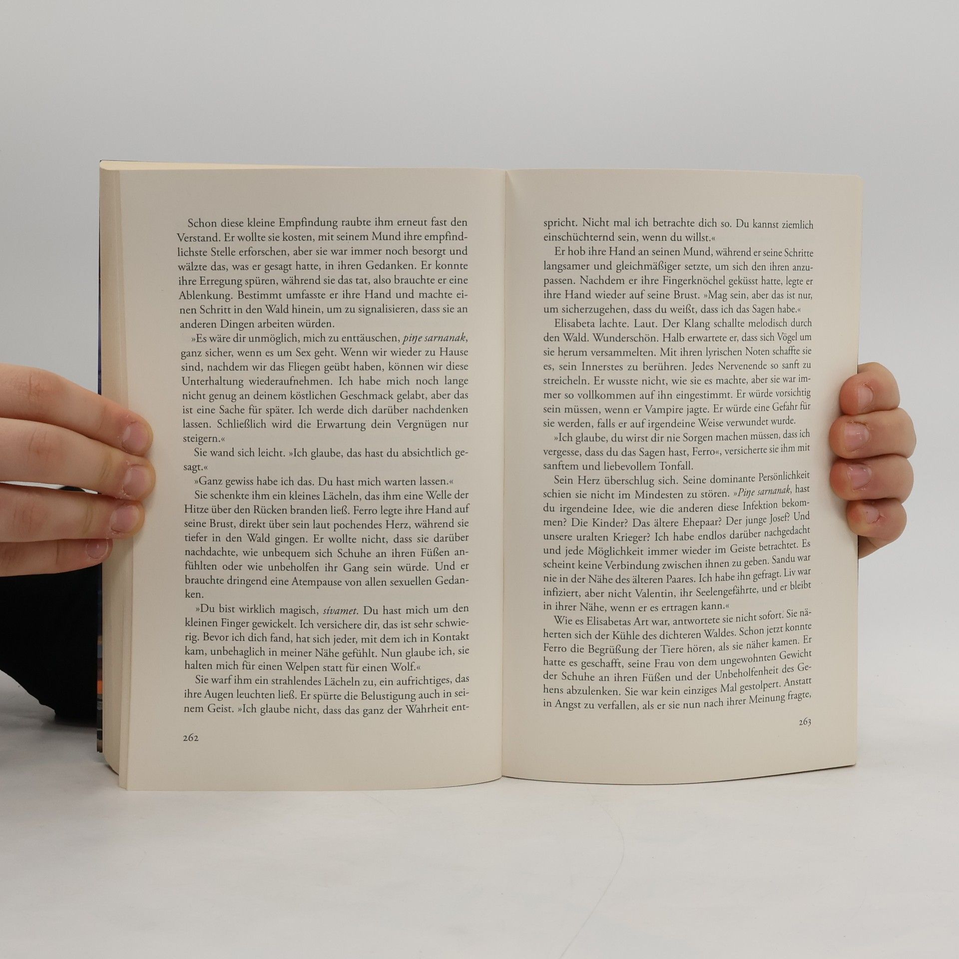 Christine Feehan Dunkles Lied der Seele