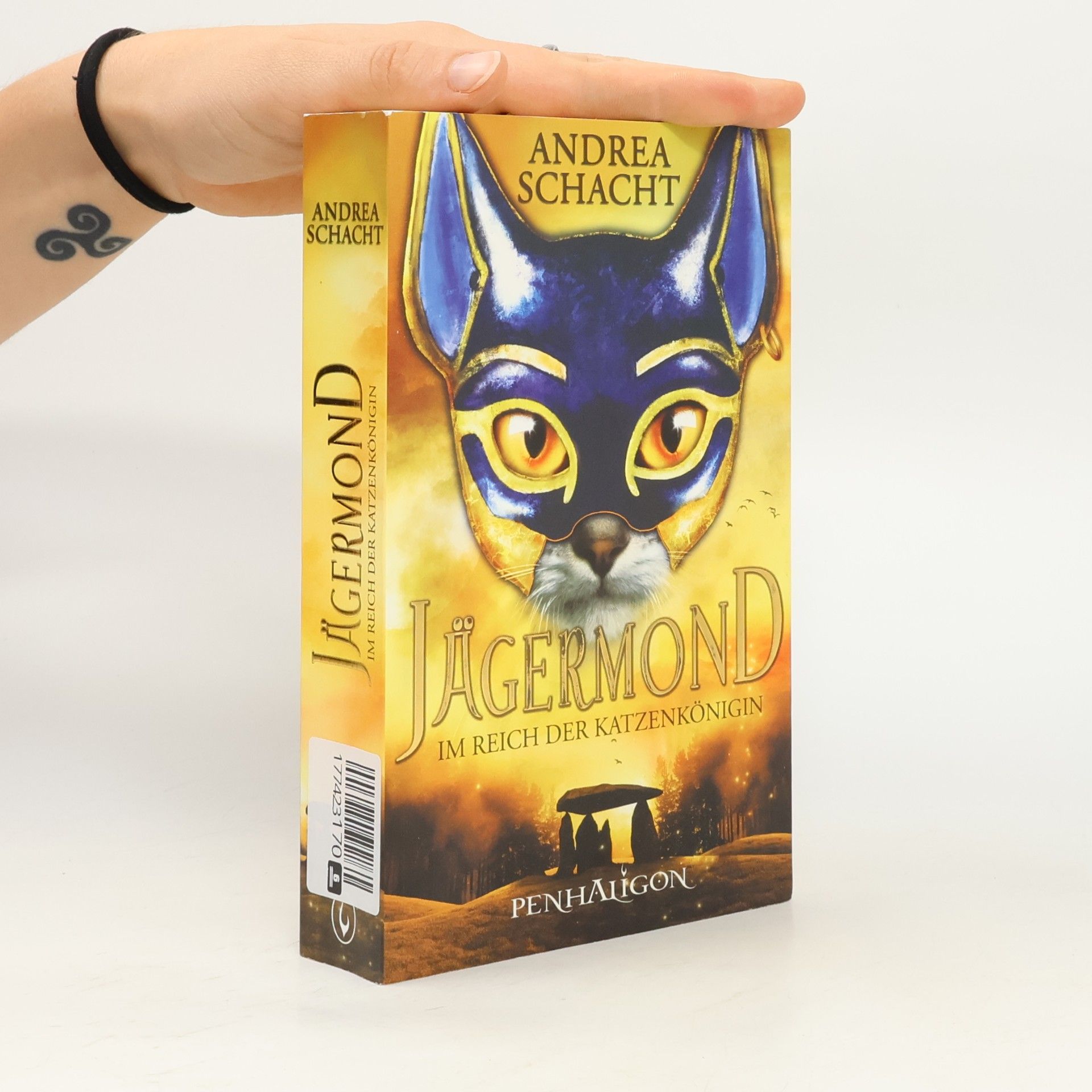 Andrea Schacht Im Reich der Katzenkönigin