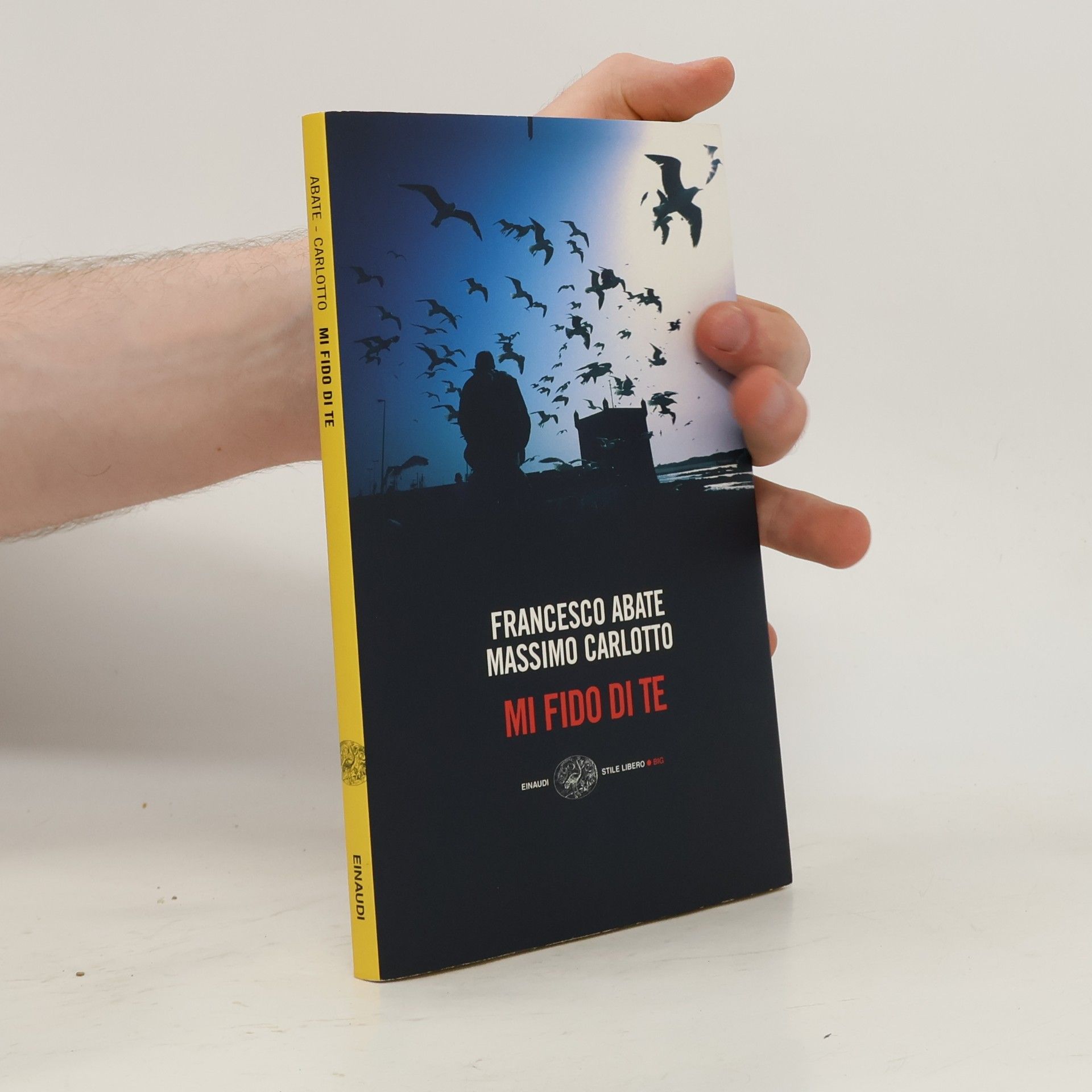 Francesco Abate Stile libero big: Mi fido di te