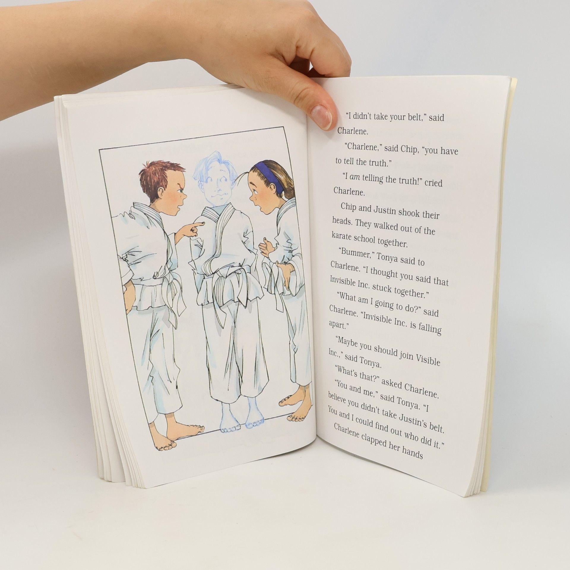 Elizabeth Levy The Karate Class Mystery