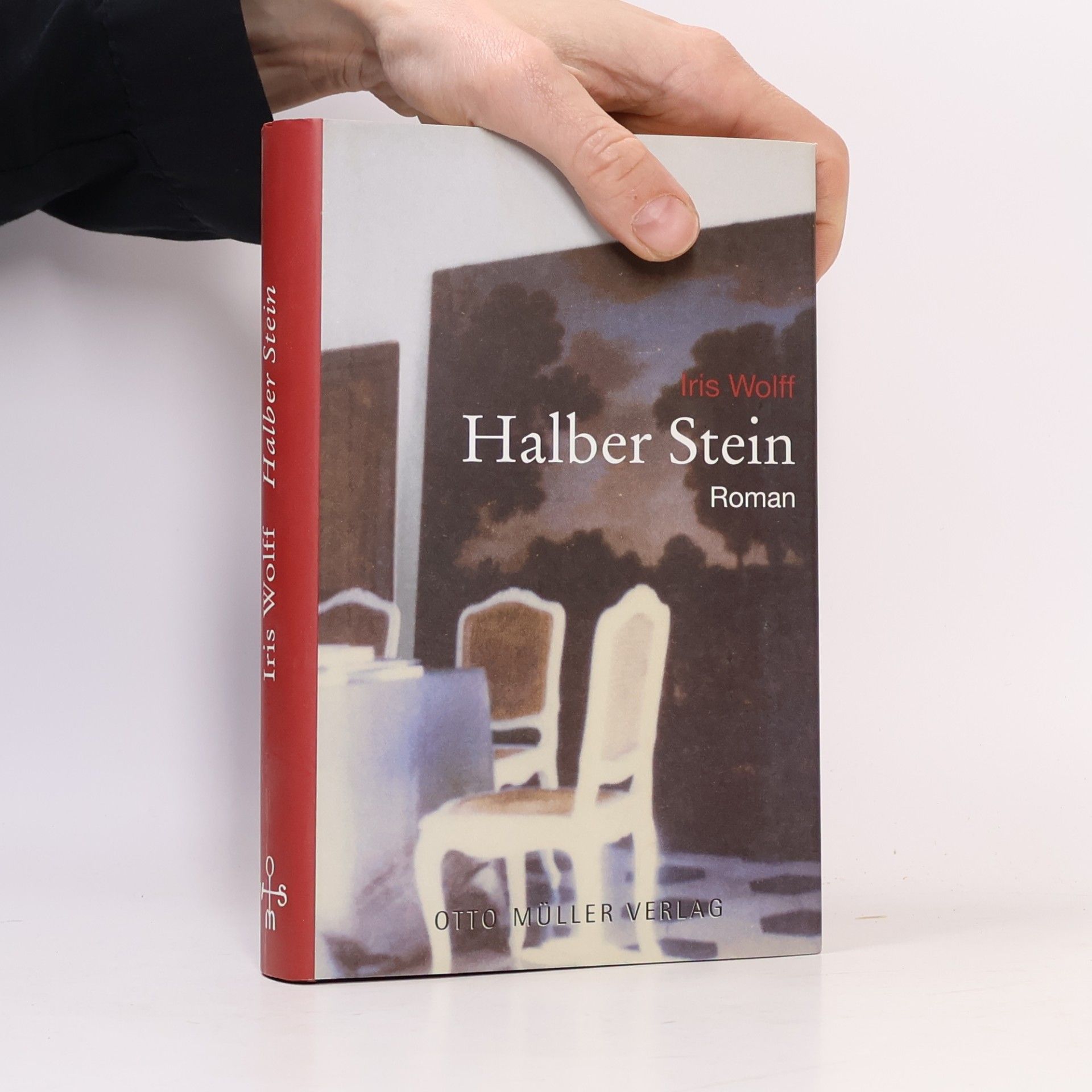 Iris Wolff Halber Stein