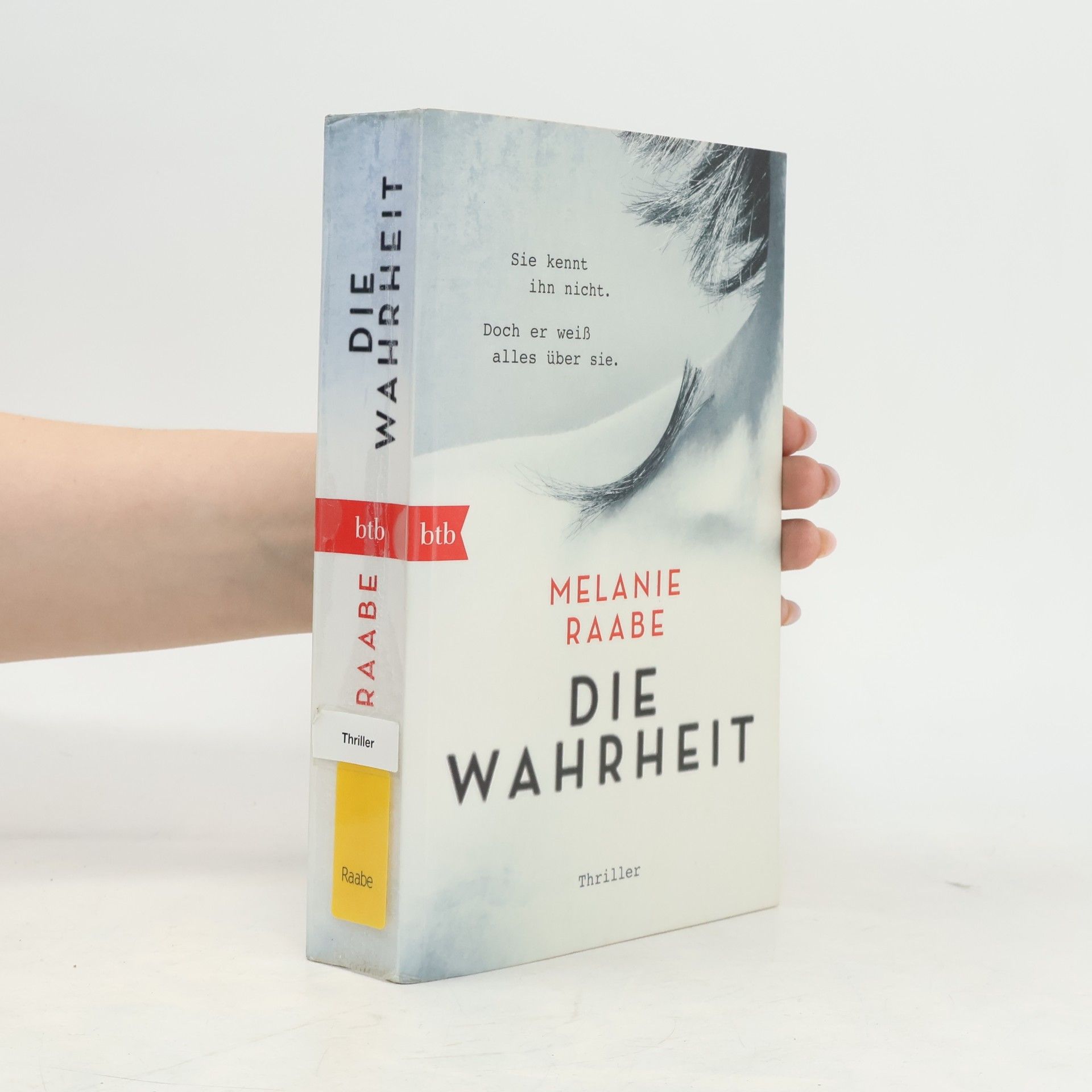 Melanie Raabe Die Wahrheit