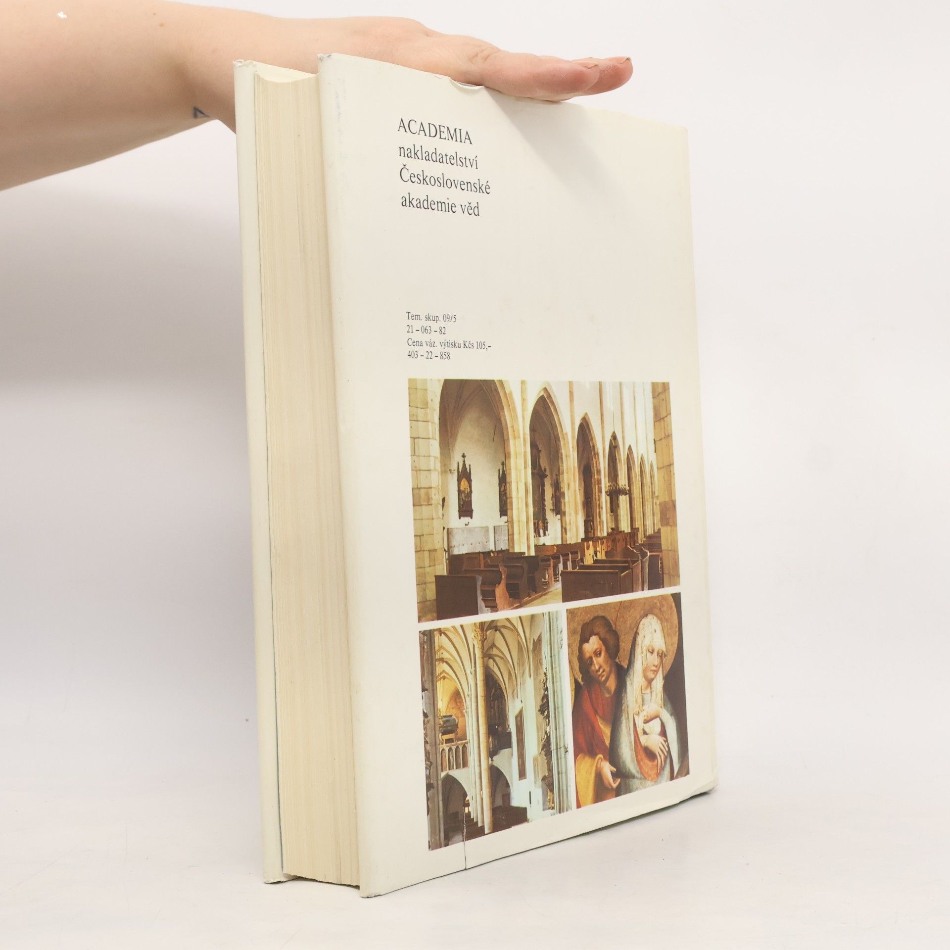 Collectif d'auteurs Umělecké památky Čech 4. T-Ž