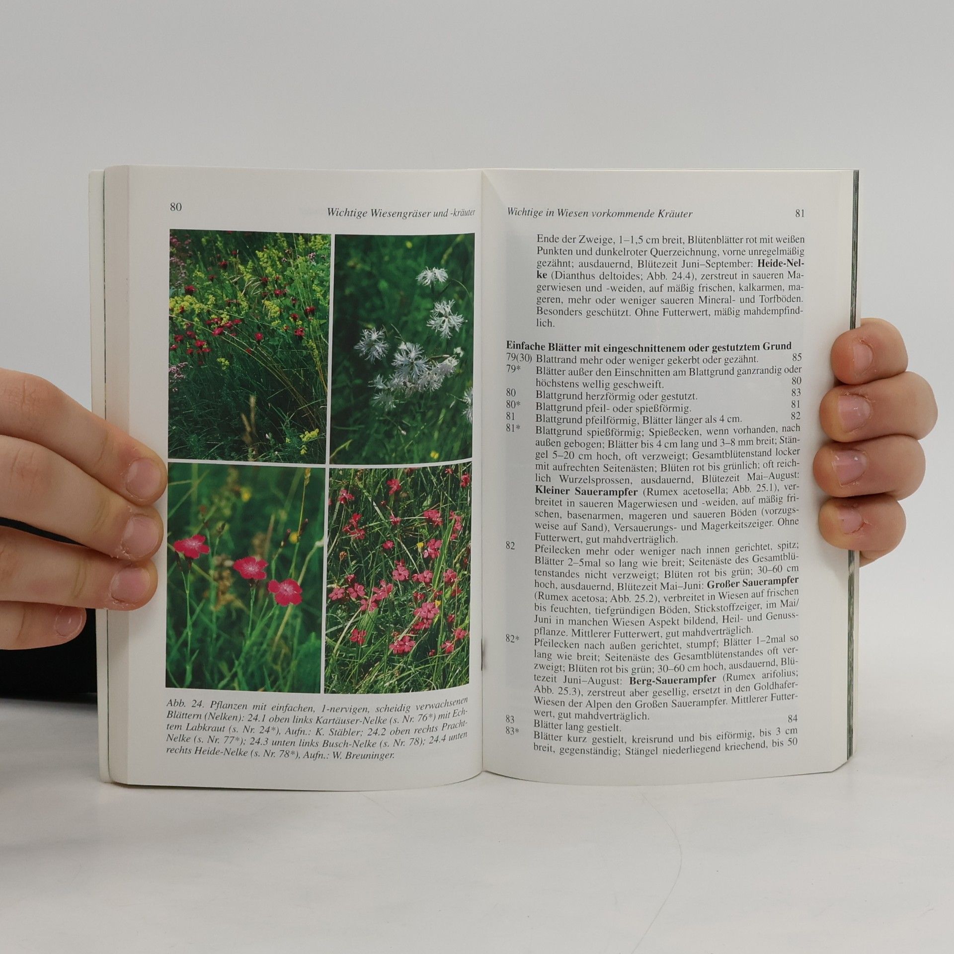 Theo Müller Natur - Heimat - Wandern: Blumenwiesen