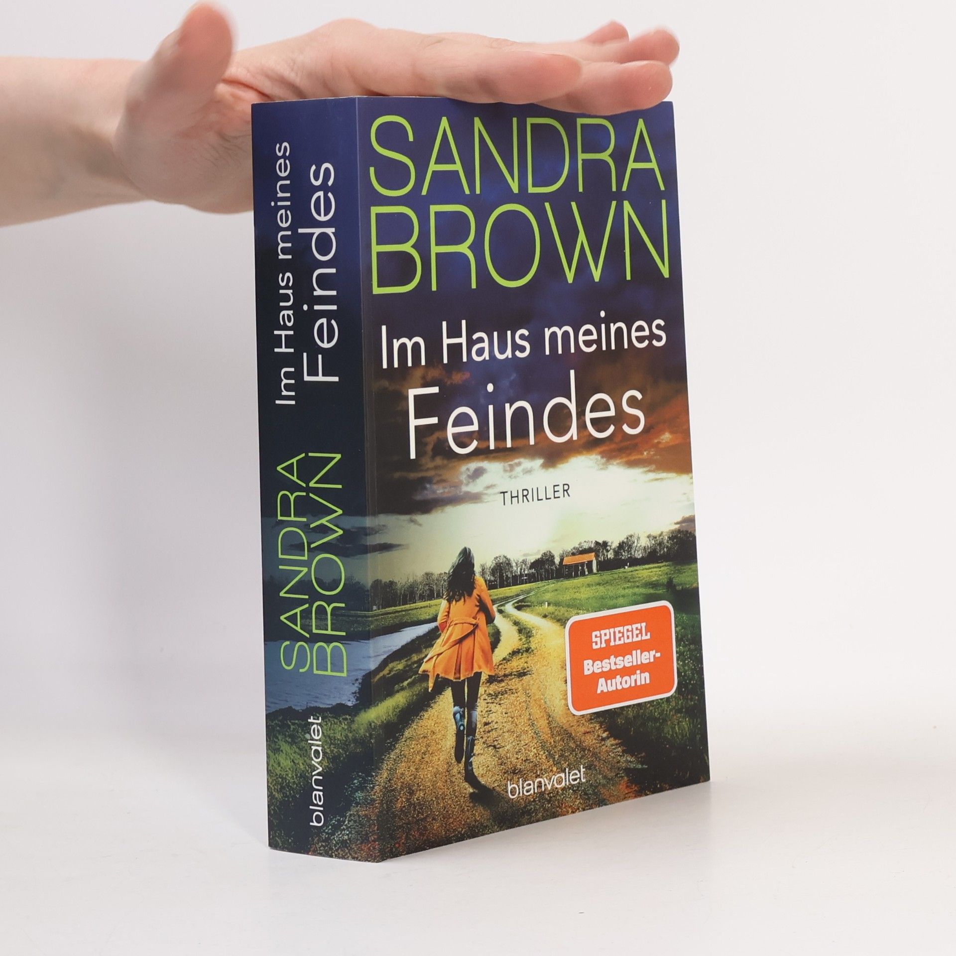 Sandra Brown Im Haus meines Feindes