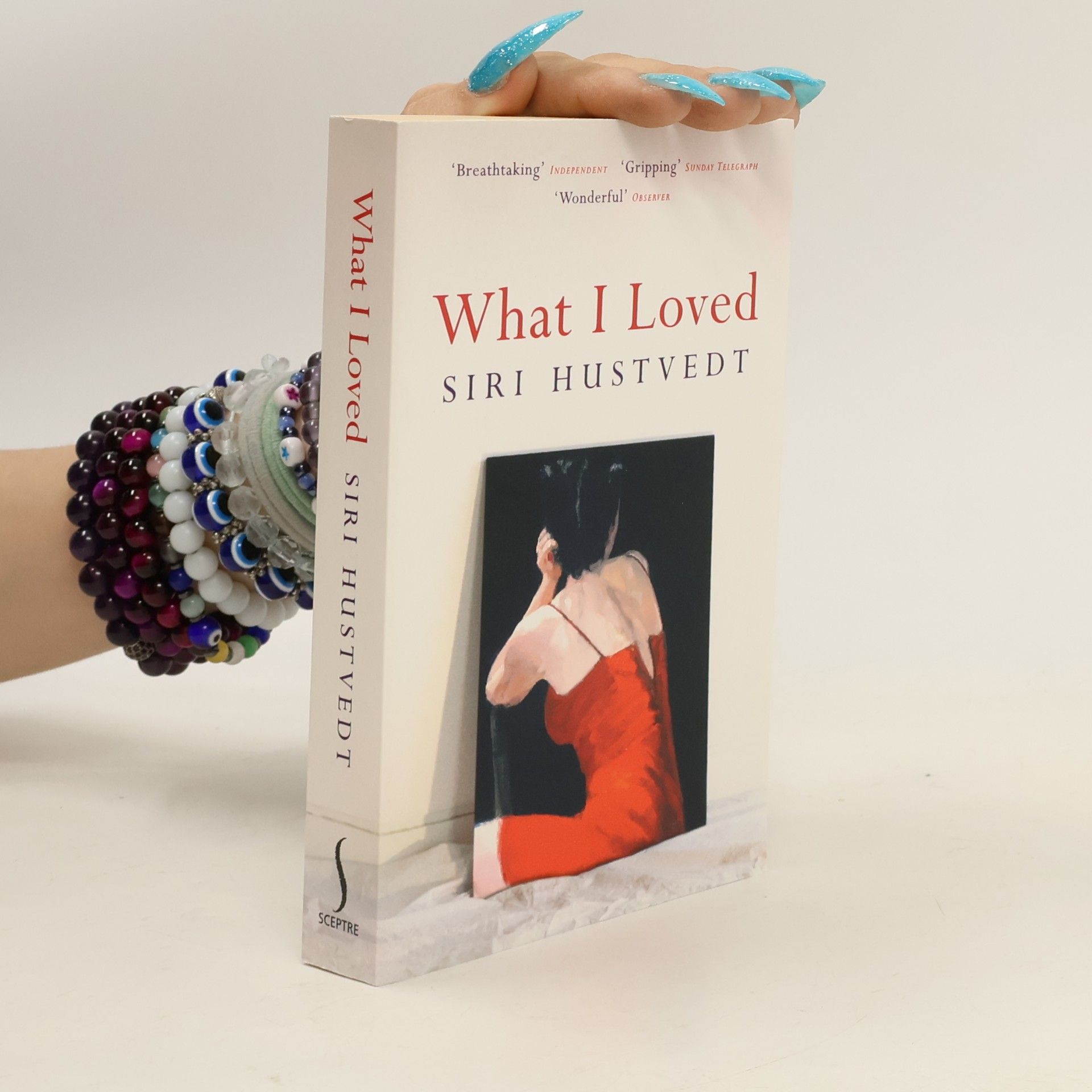Siri Hustvedt What I Loved