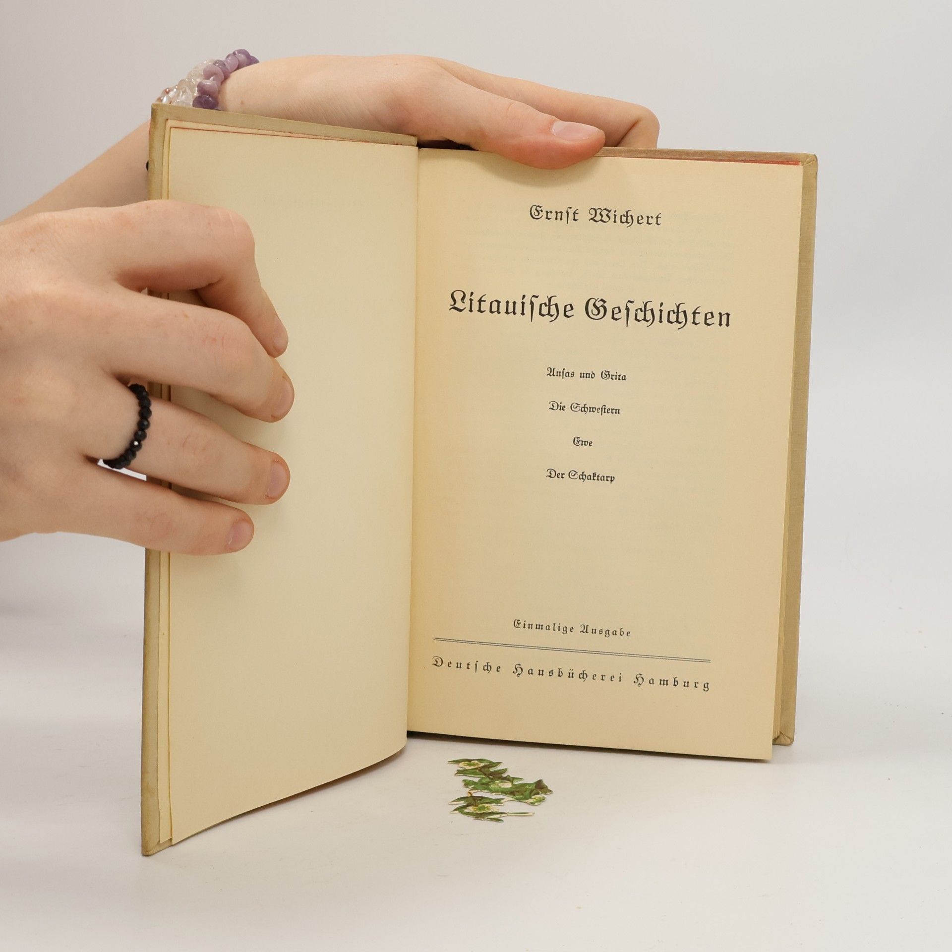 Ernst Wichert Litauische Geschichten