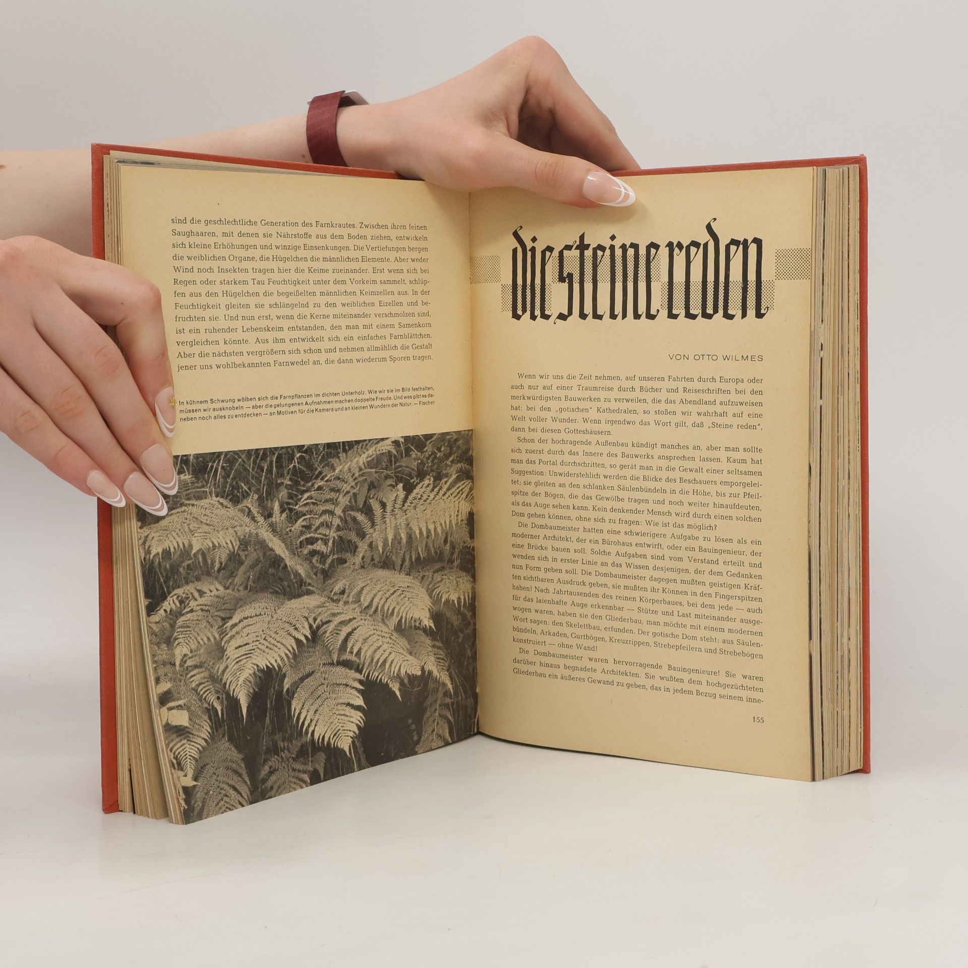 Heinz Bochmann Das neue Universum. Band 77