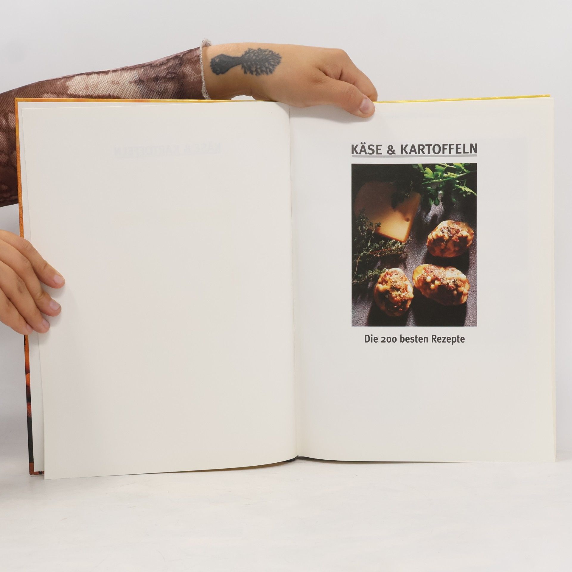 Autorenkollektiv Käse & Kartoffeln