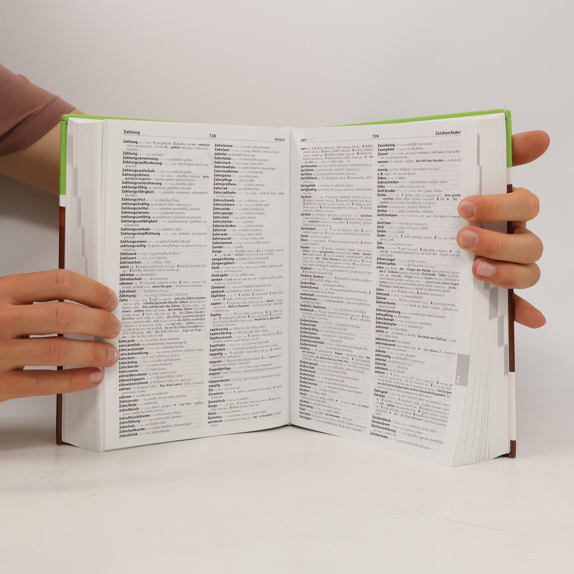 Autorenkollektiv Německo-český česko-německý velký slovník