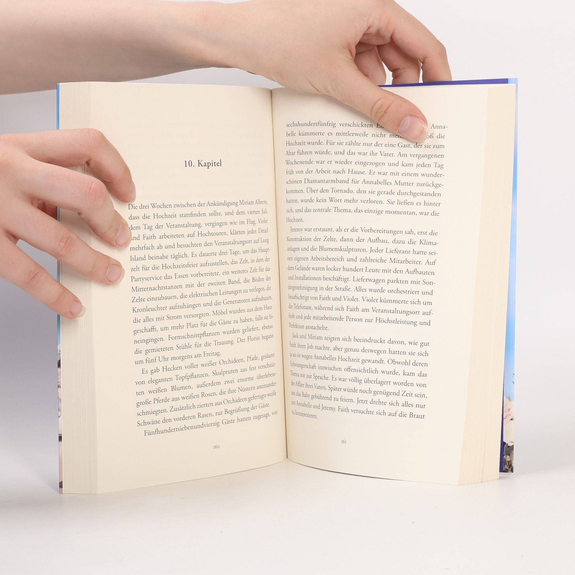 Danielle Steel Am schönsten Tag