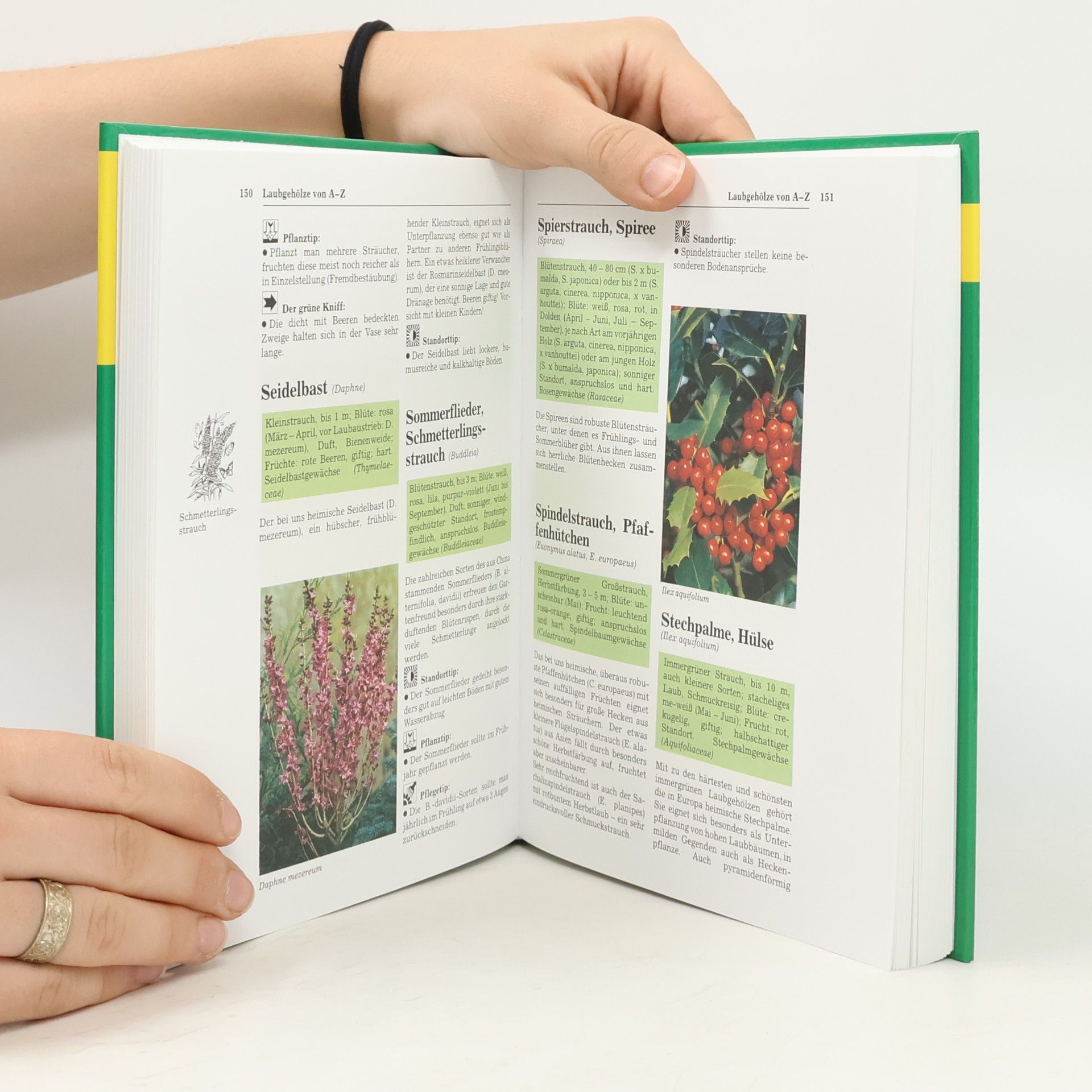 Various authors Der Grosse Gartenratgeber
