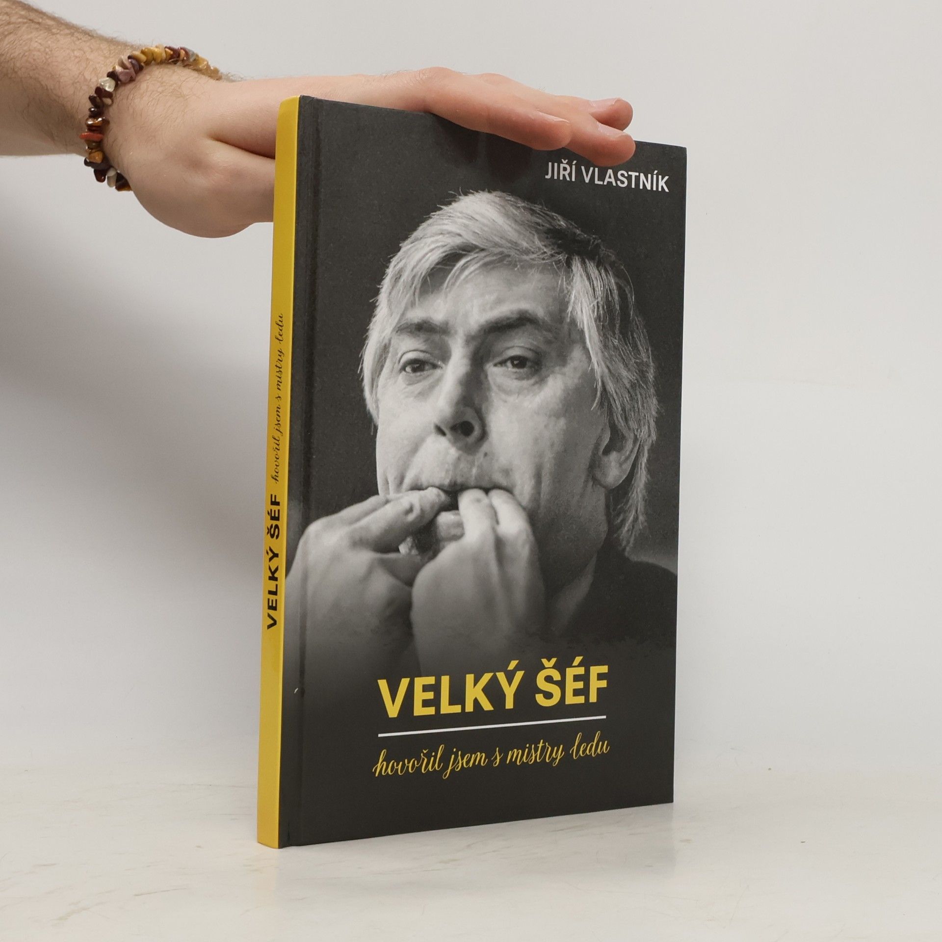 Velký šéf: hovořil jsem s mistry ledu