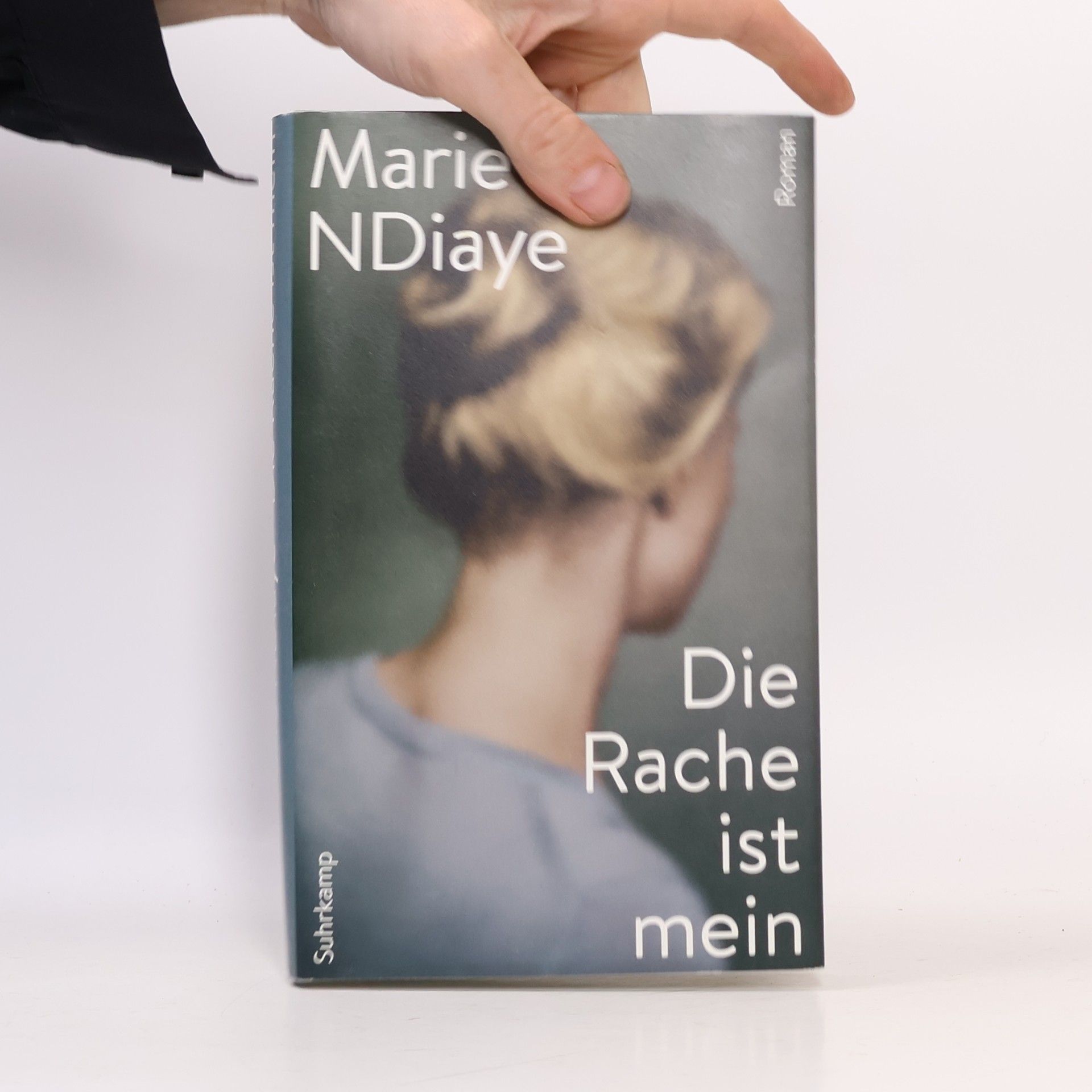 Marie NDiaye Die Rache ist mein