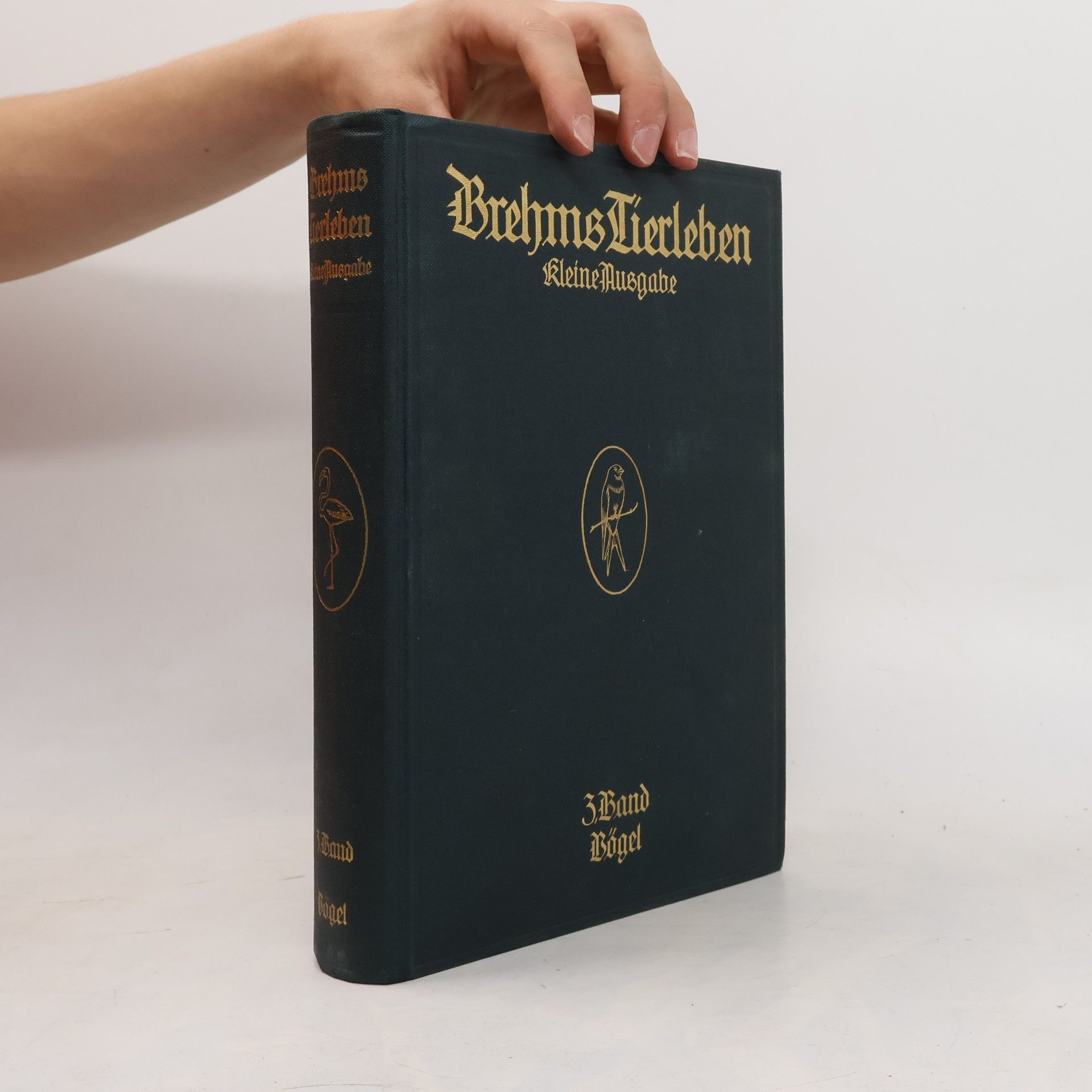 Brehms Tierleben 3. Vögel