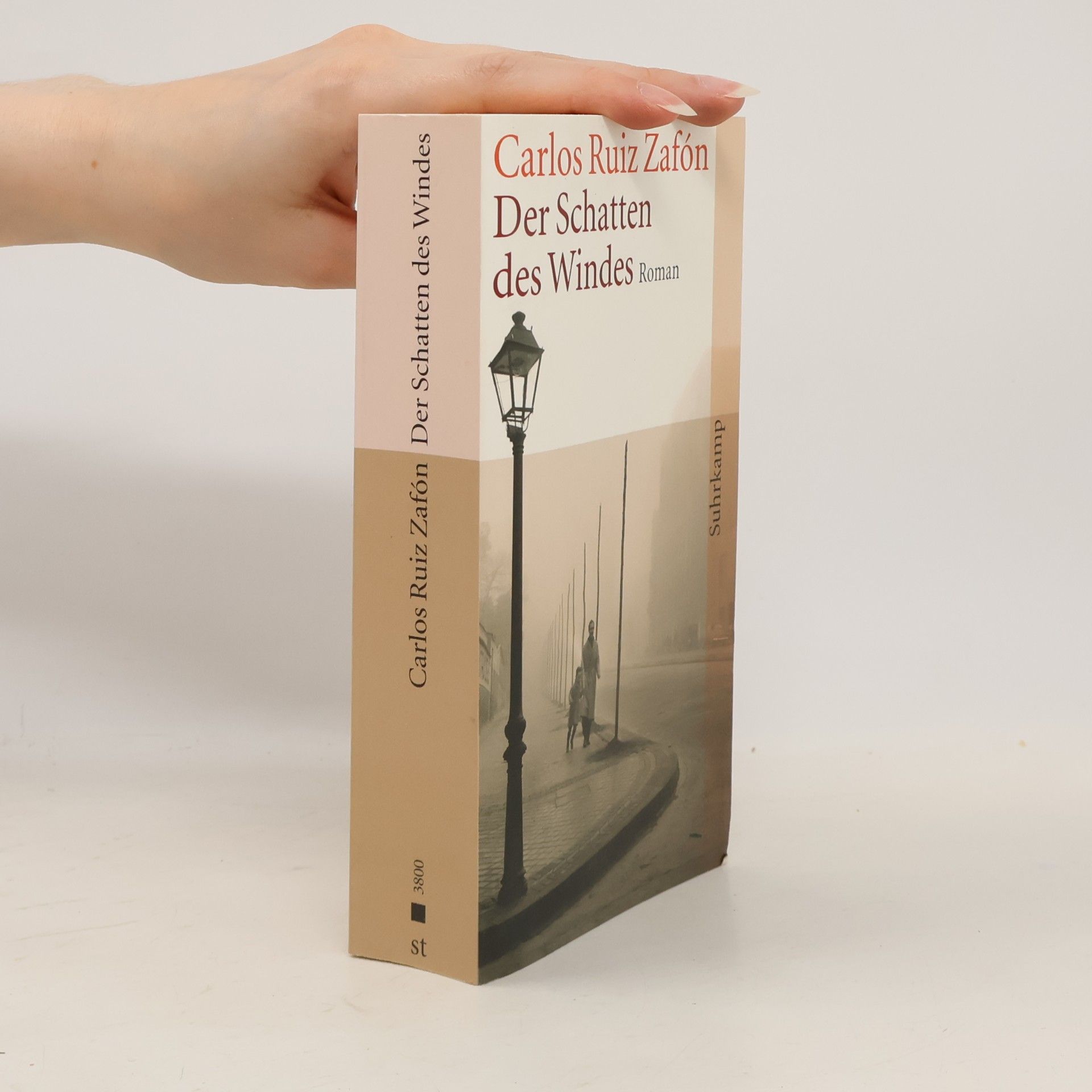 Carlos Ruiz Zafón Der Schatten des Windes