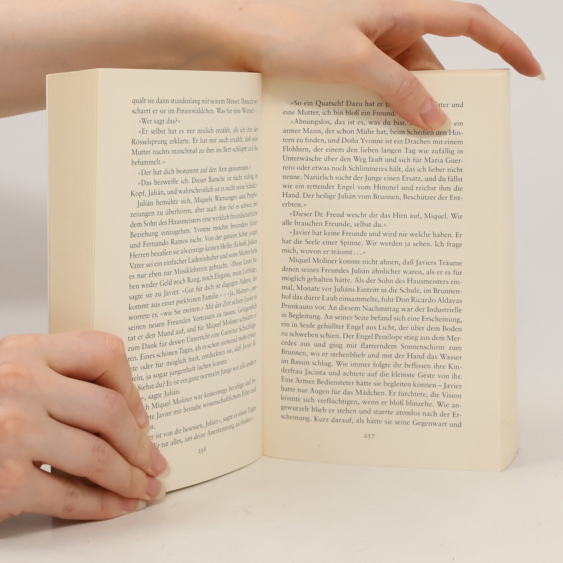 Carlos Ruiz Zafón Der Schatten des Windes