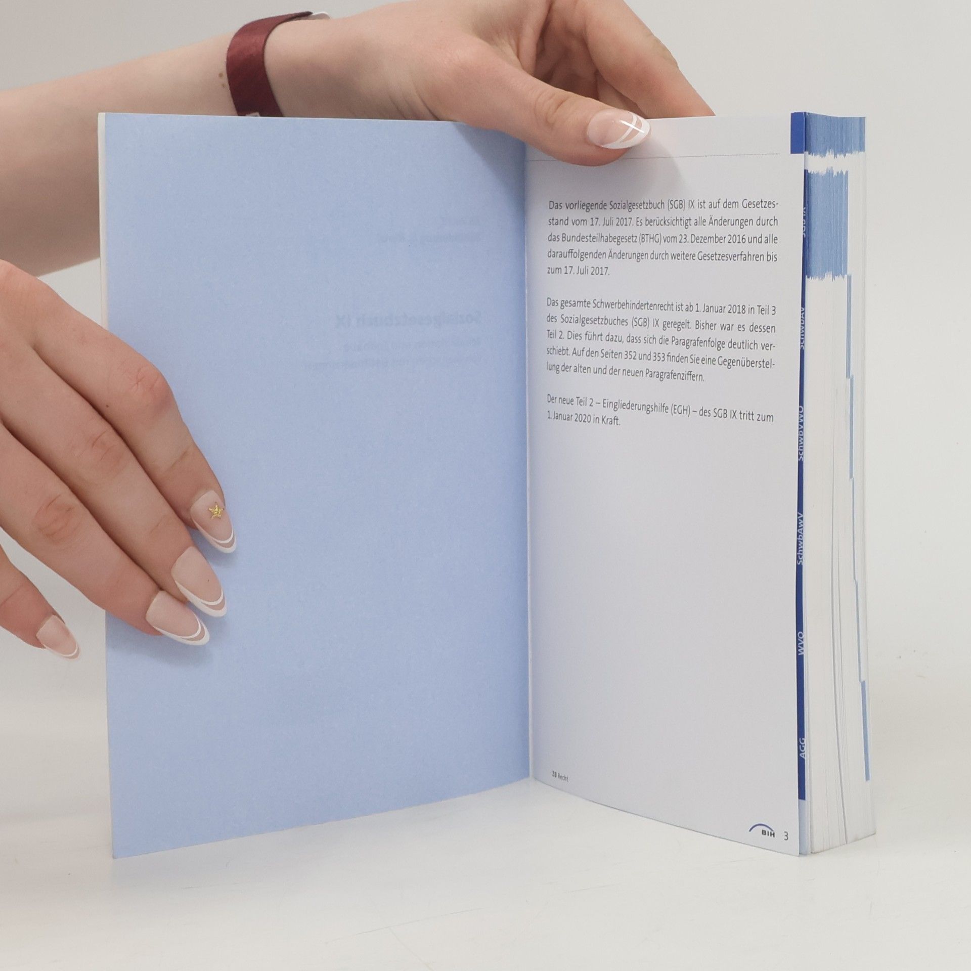 Collectif d'auteurs Sozialgesetzbuch IX (SGB IX) 2018