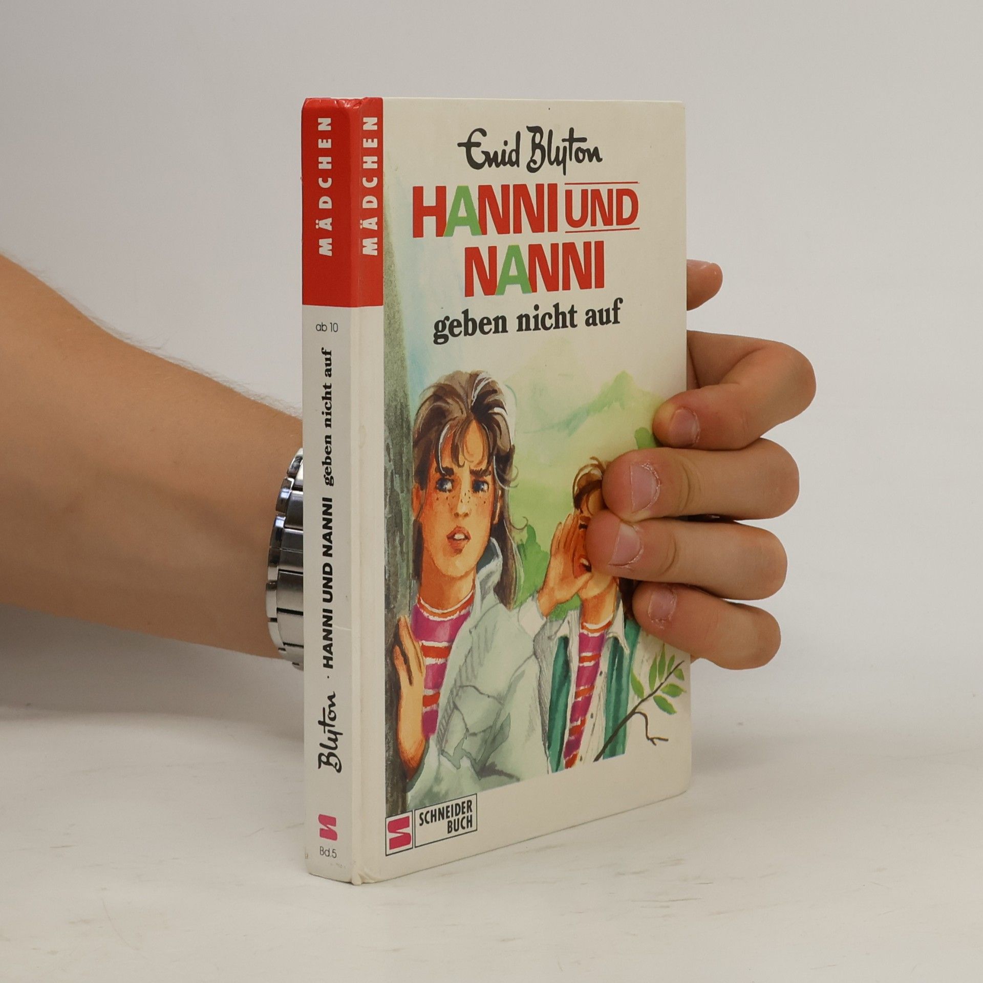 Enid Blyton Hanni und Nanni. Geben nicht auf