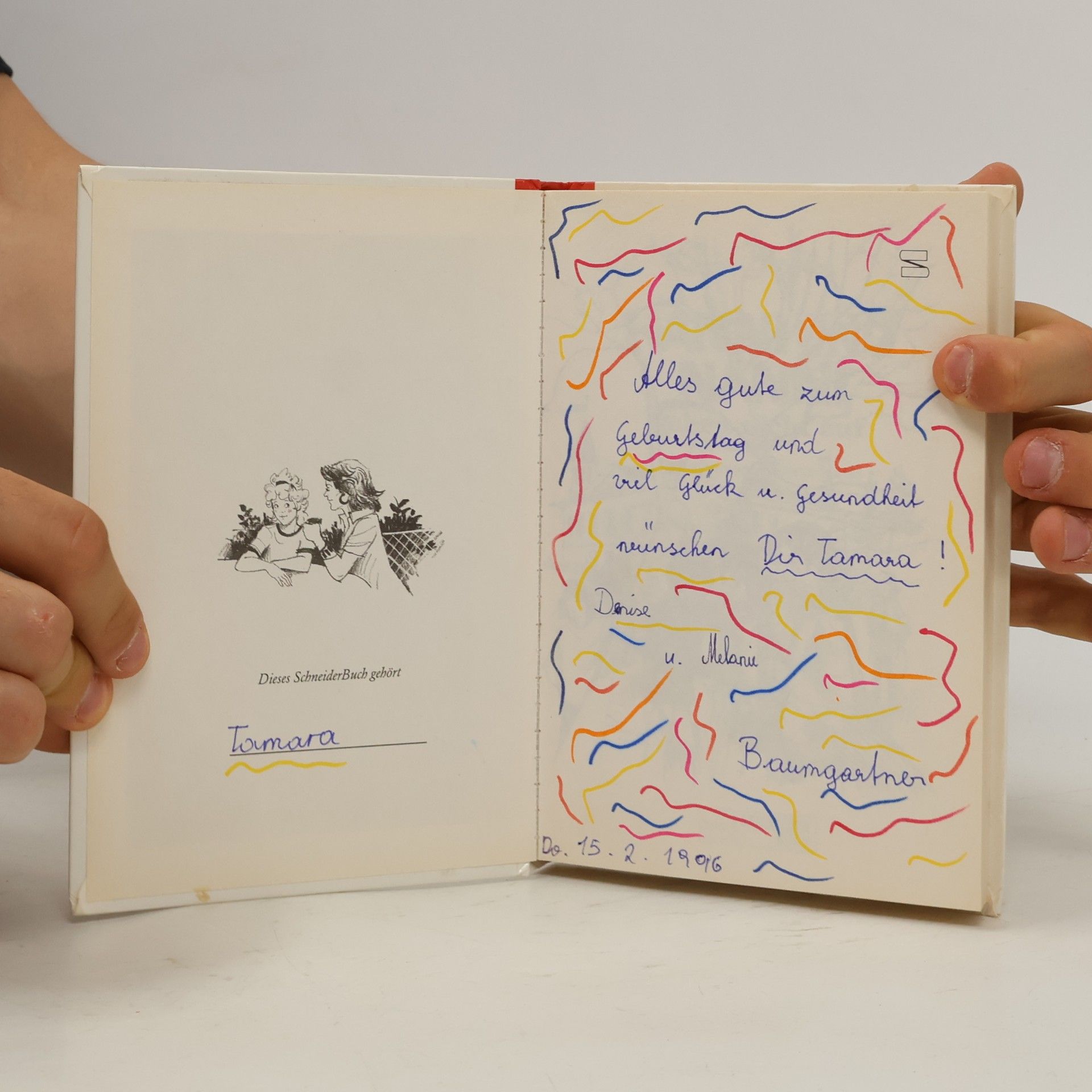 Enid Blyton Hanni und Nanni. Geben nicht auf