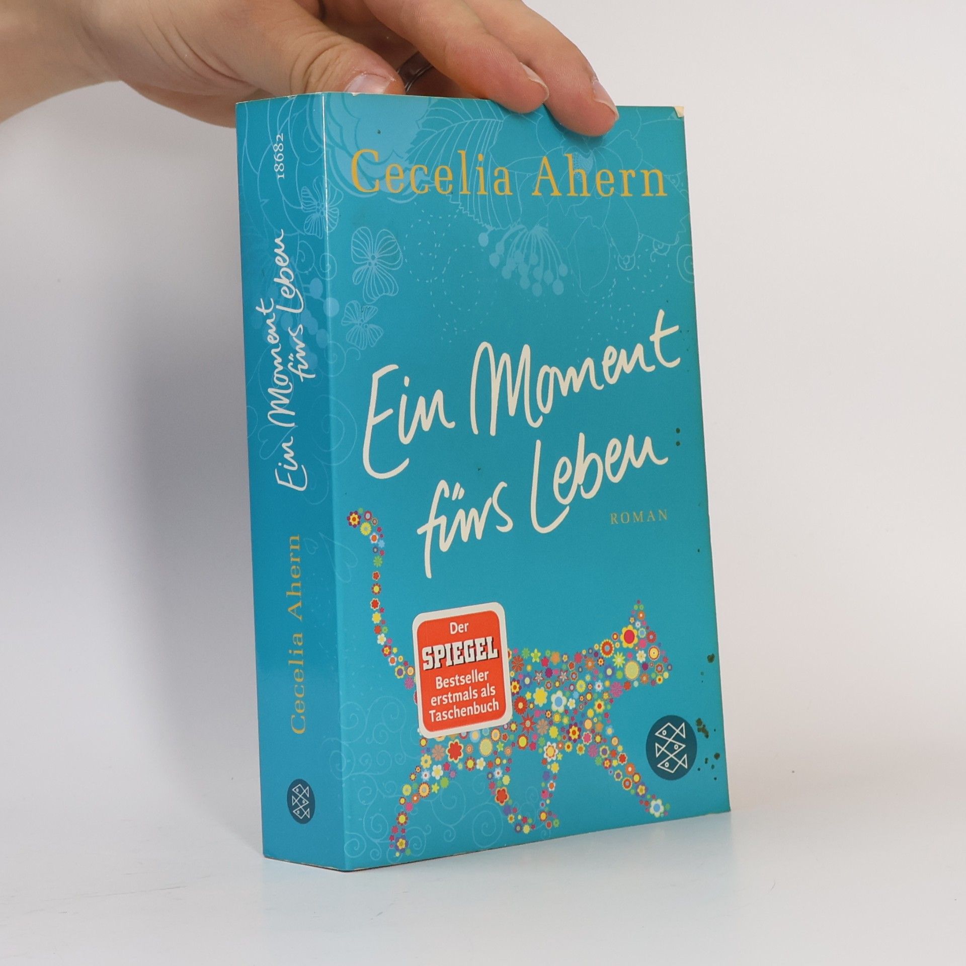 Cecelia Ahern Ein Moment fürs Leben