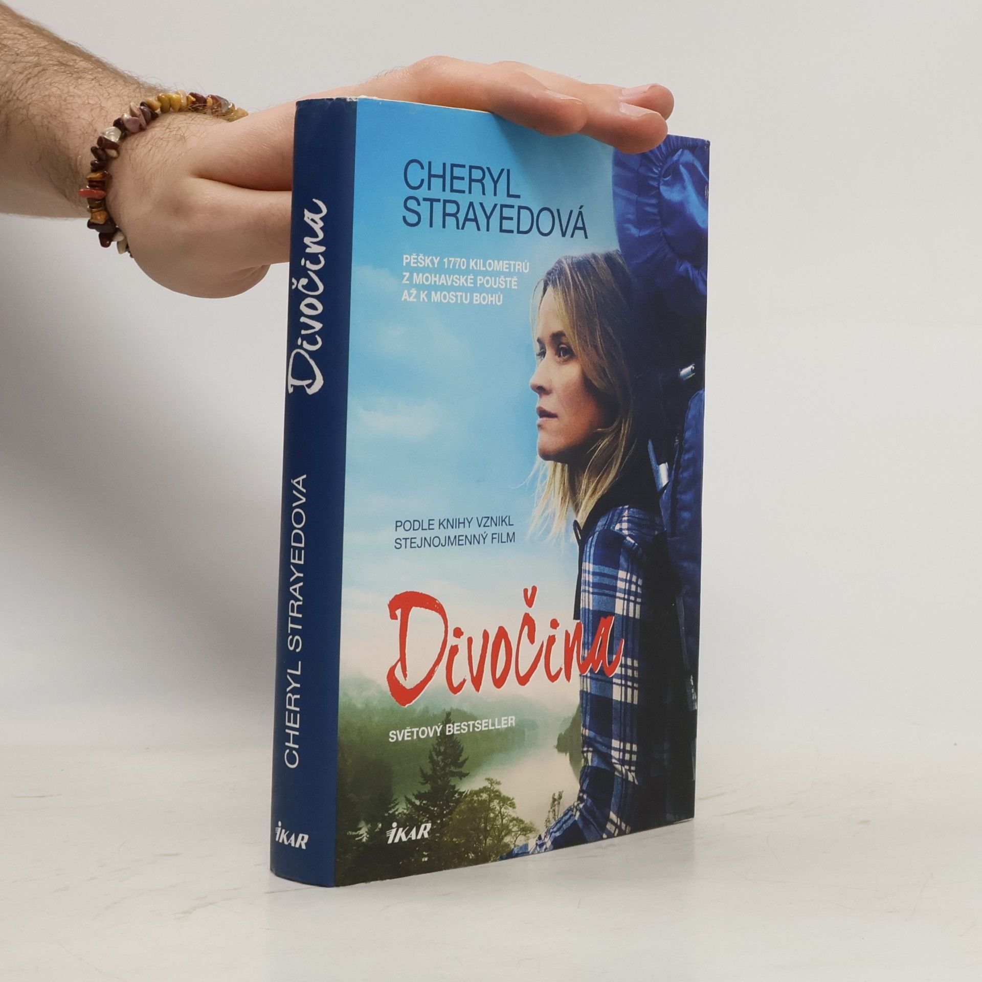 Cheryl Strayed Divočina. Pěšky 1770 kilometrů z Mohavské pouště až k mostu bohů
