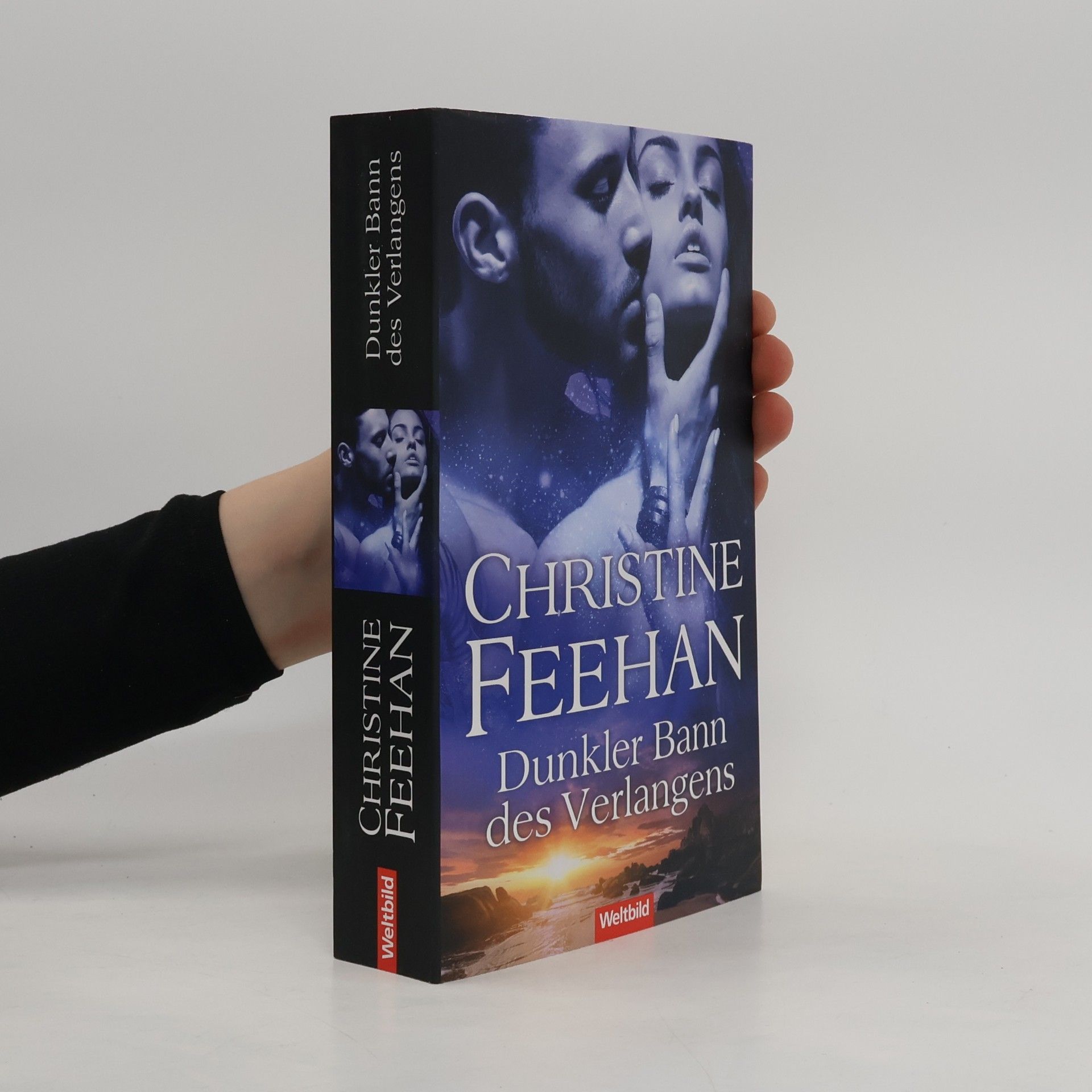 Christine Feehan Dunkler Bann des Verlangens