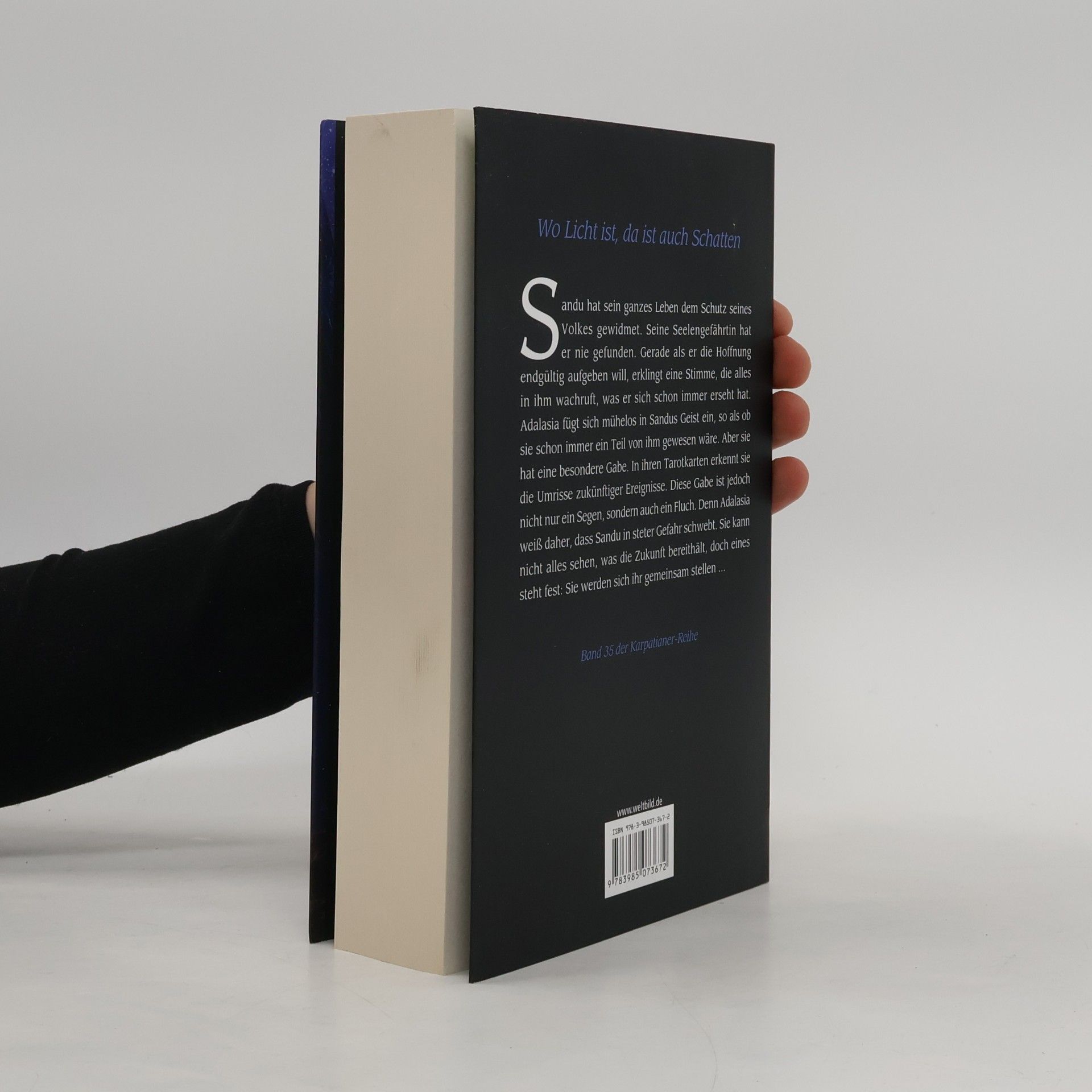 Christine Feehan Dunkler Bann des Verlangens
