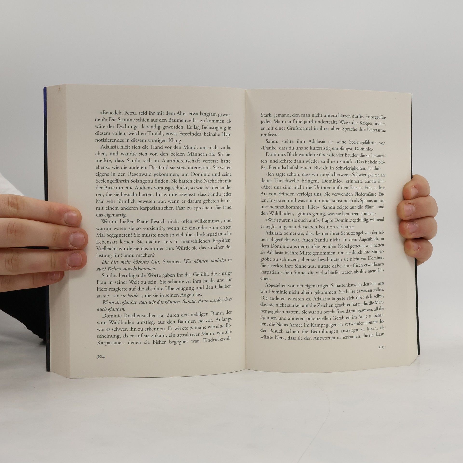 Christine Feehan Dunkler Bann des Verlangens