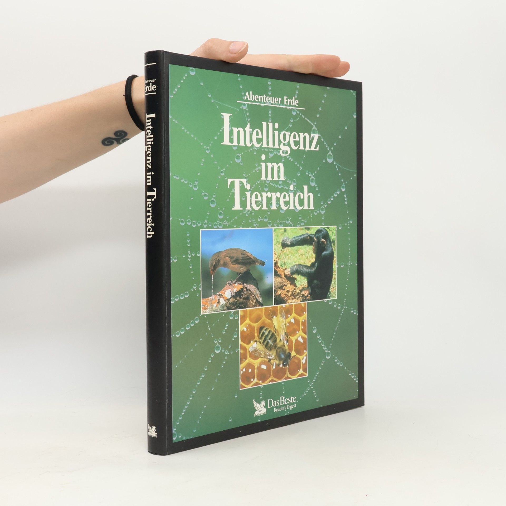 Various authors Intelligenz im Tierreich