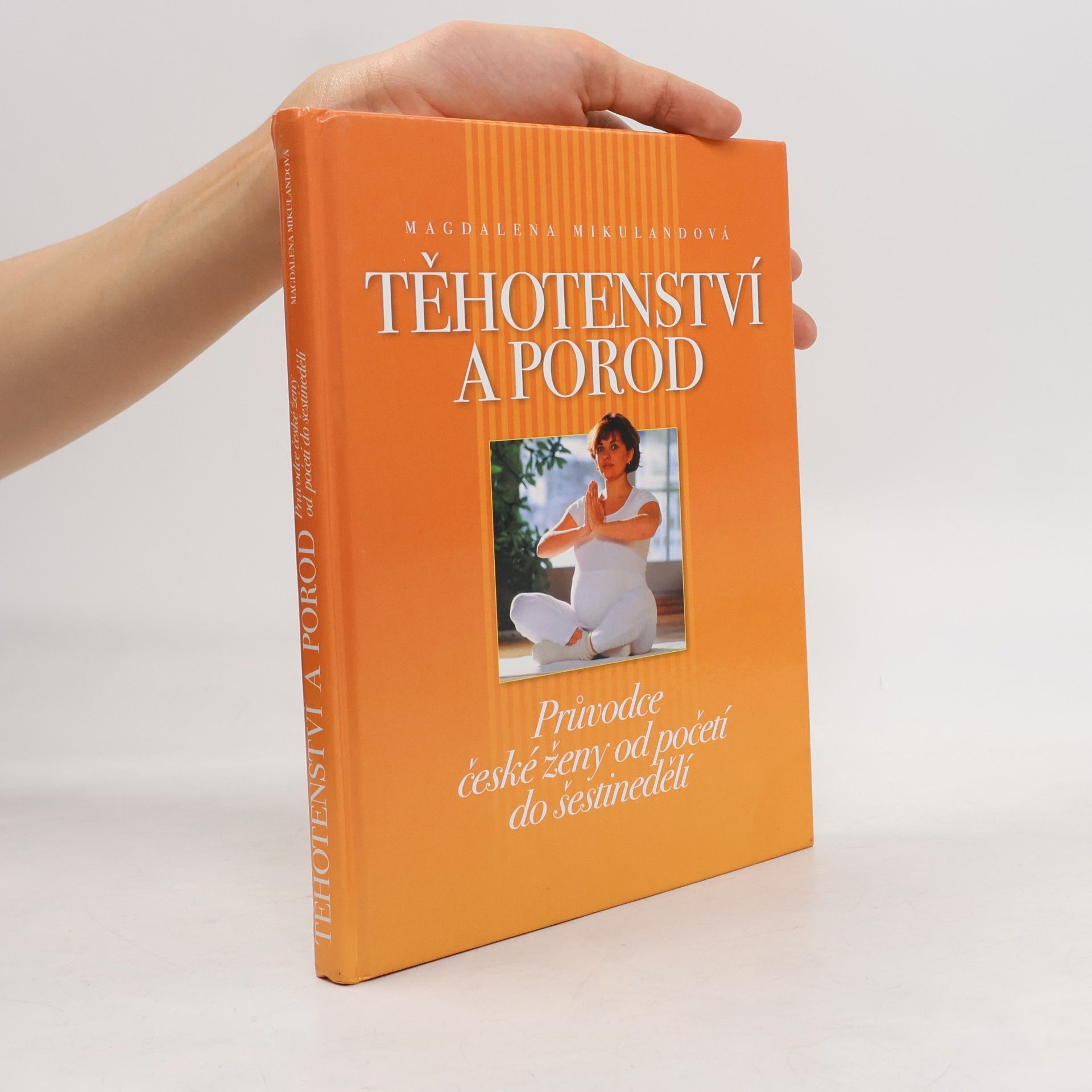 Magdalena Mikulandová Těhotenství a porod. Průvodce české ženy od početí do šestinedělí