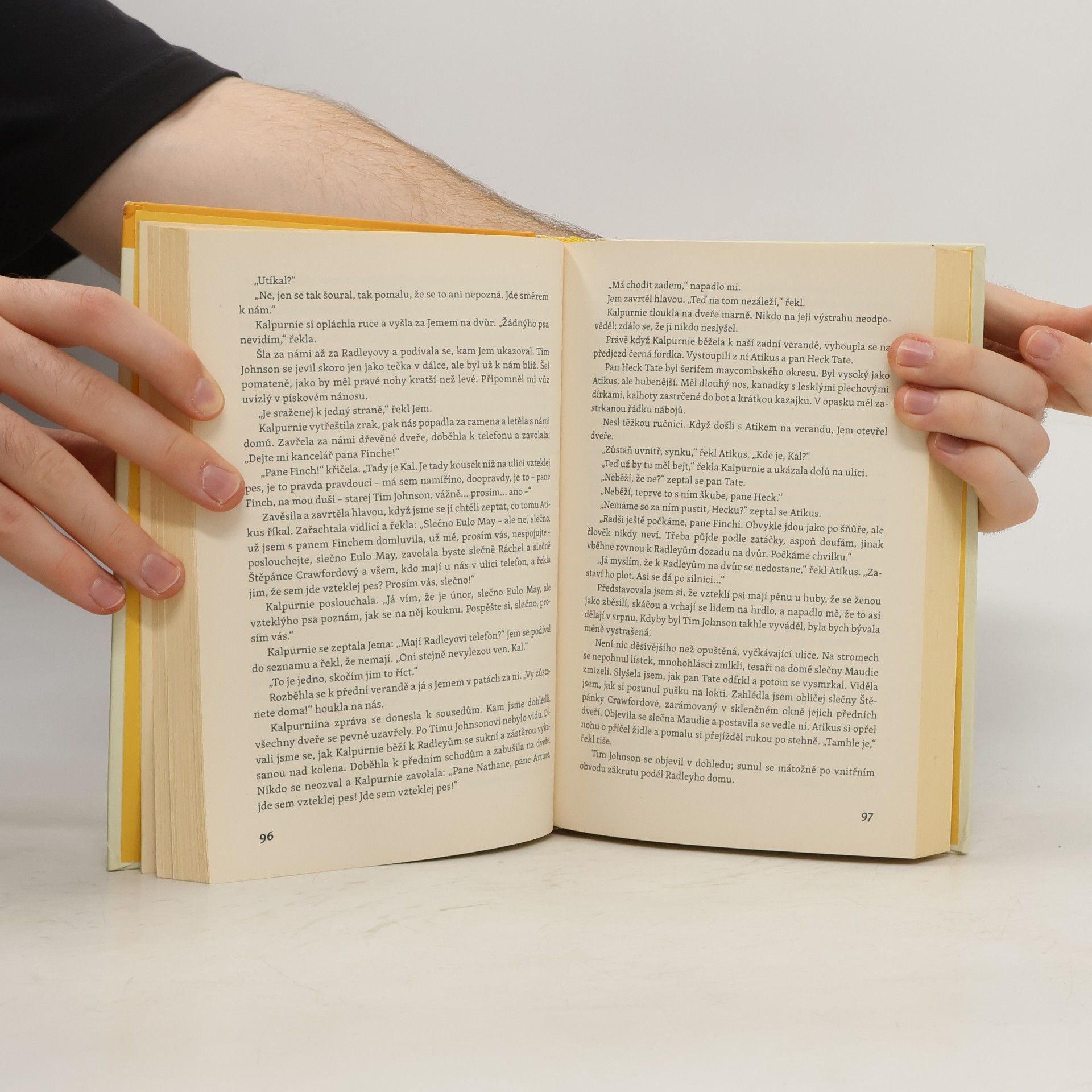 Harper Lee Jako zabít ptáčka