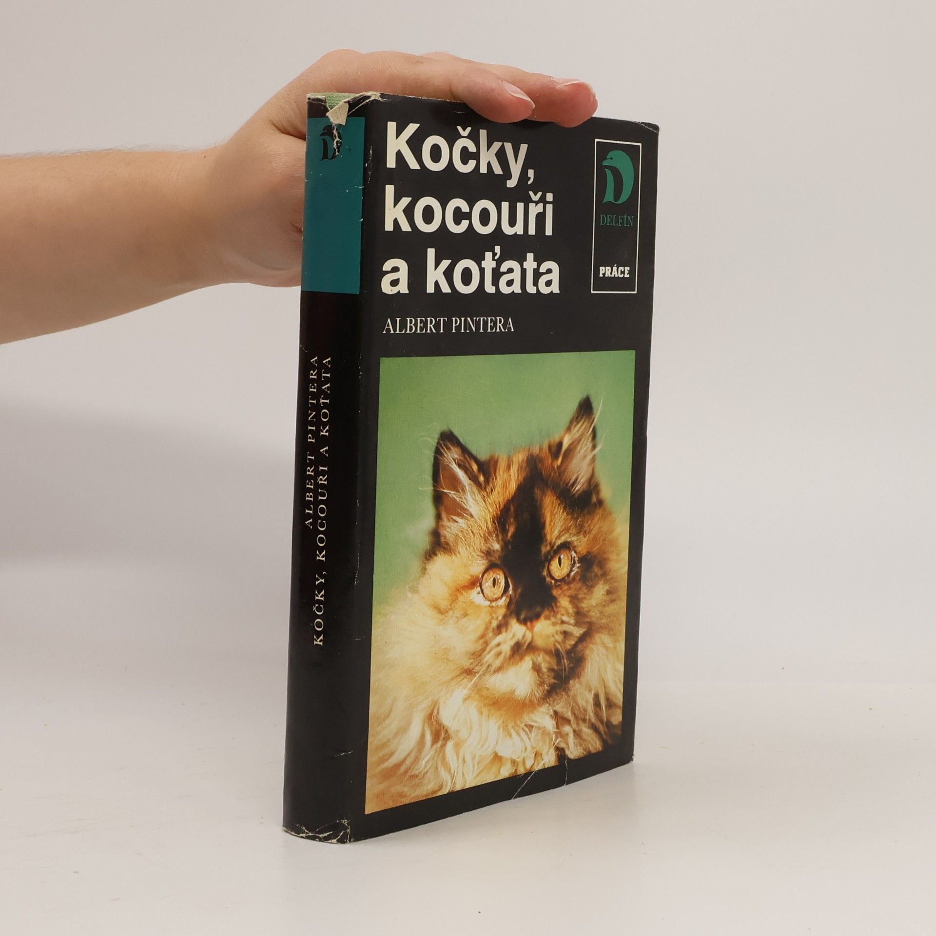 Albert Pintera Kočky, kocouři a koťata