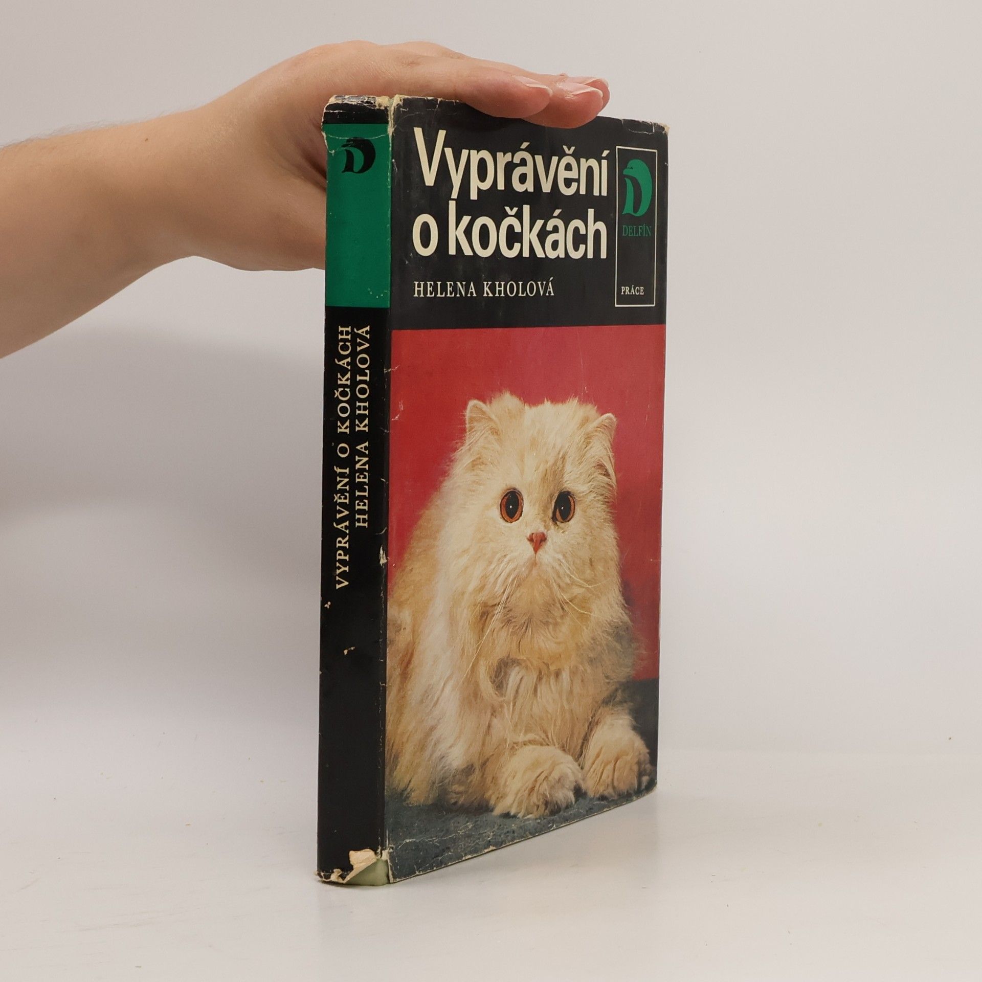 Vyprávění o kočkách