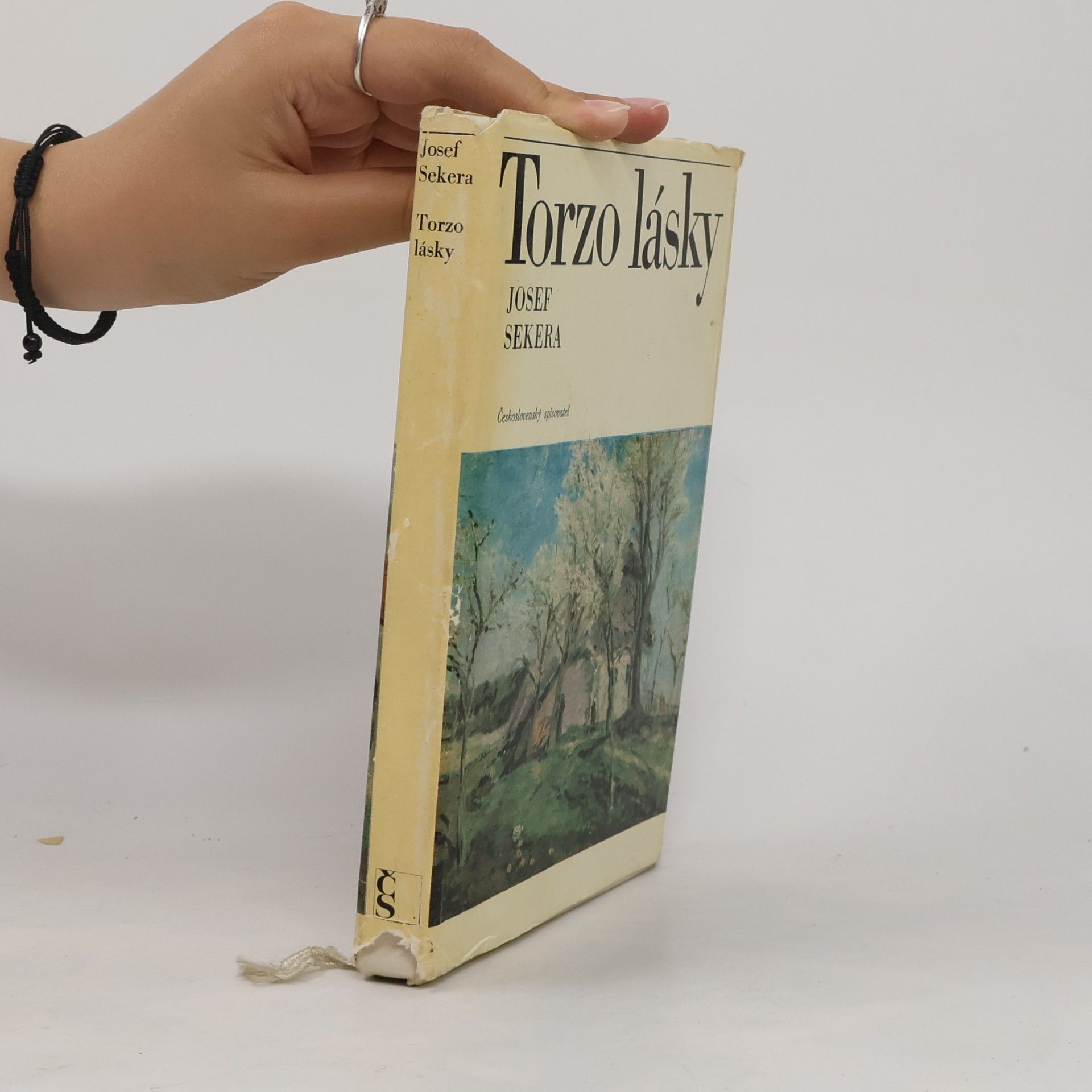 Torzo lásky. Osudy Jindřicha Pruchy
