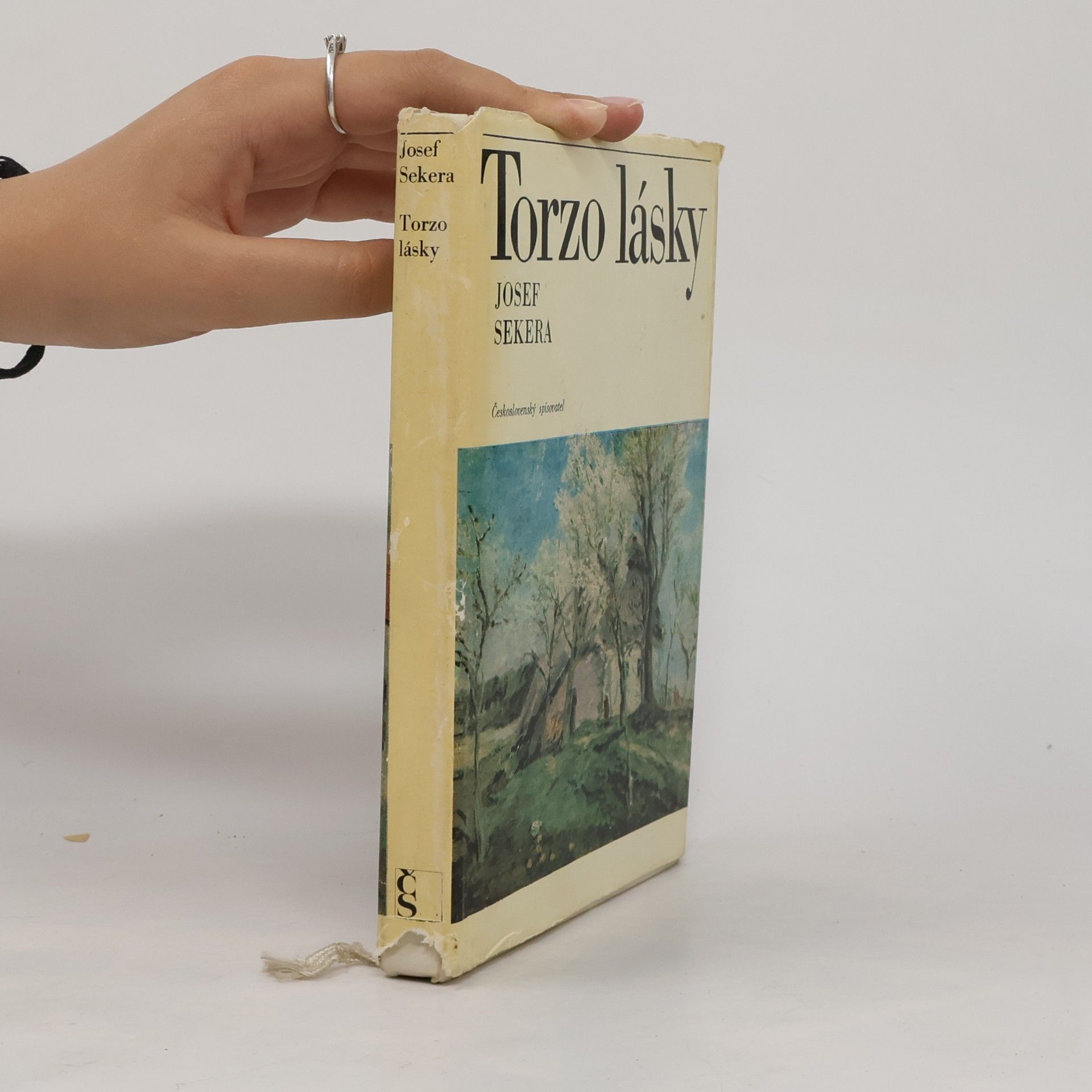 Josef Sekera Torzo lásky. Osudy Jindřicha Pruchy