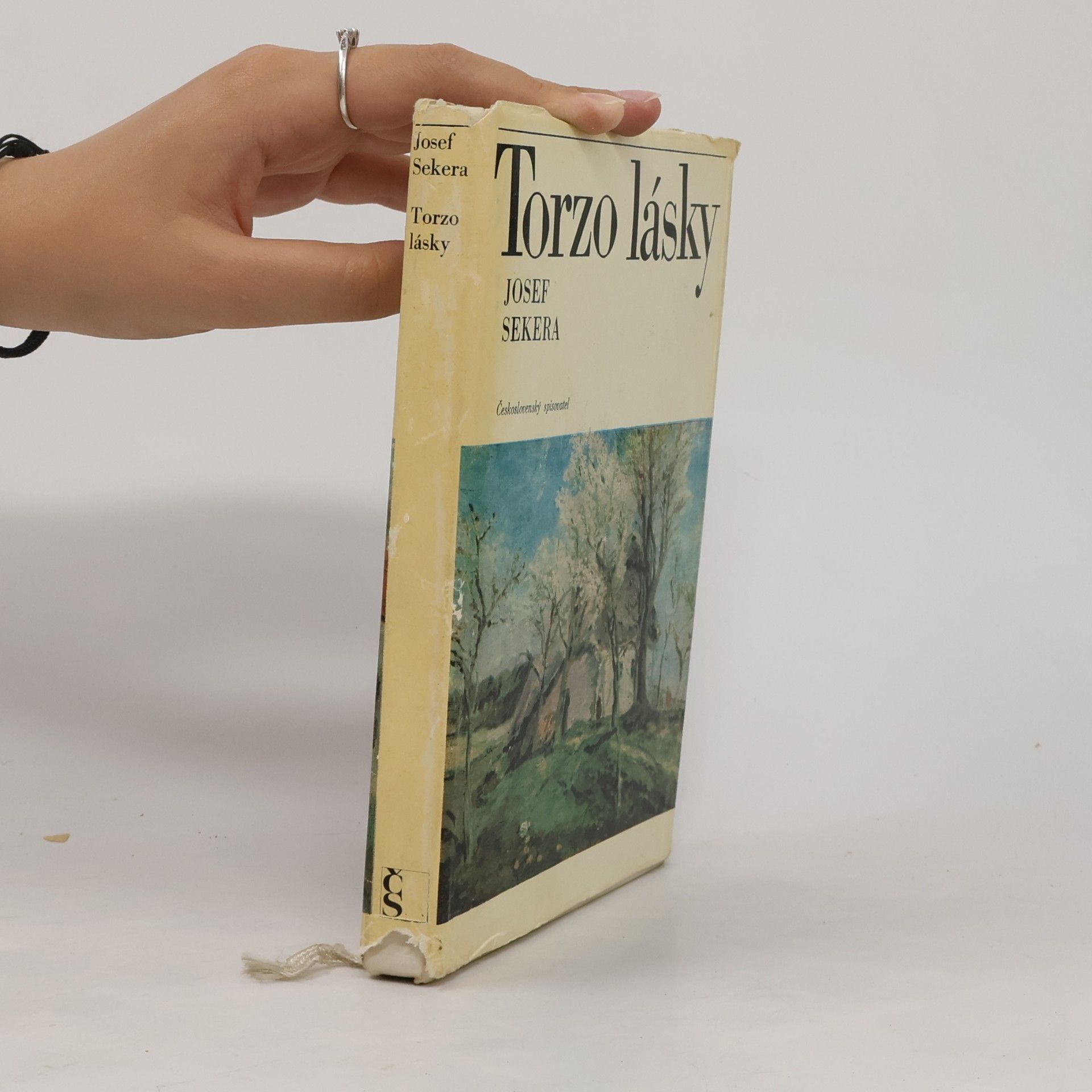 Josef Sekera Torzo lásky. Osudy Jindřicha Pruchy