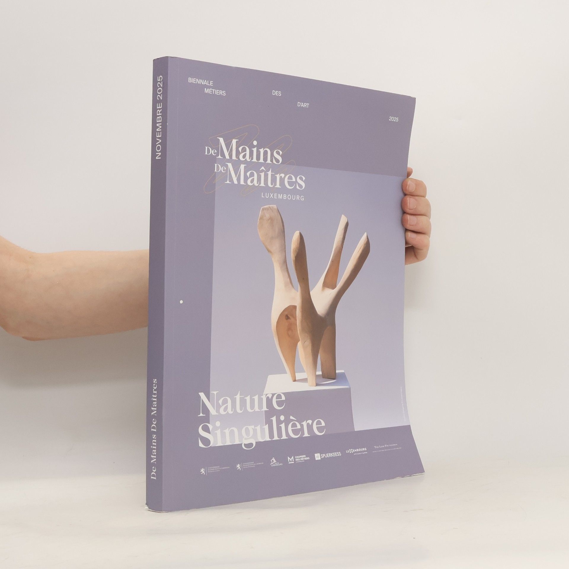 AA.VV. De Mains de Maîtres Luxembourg
