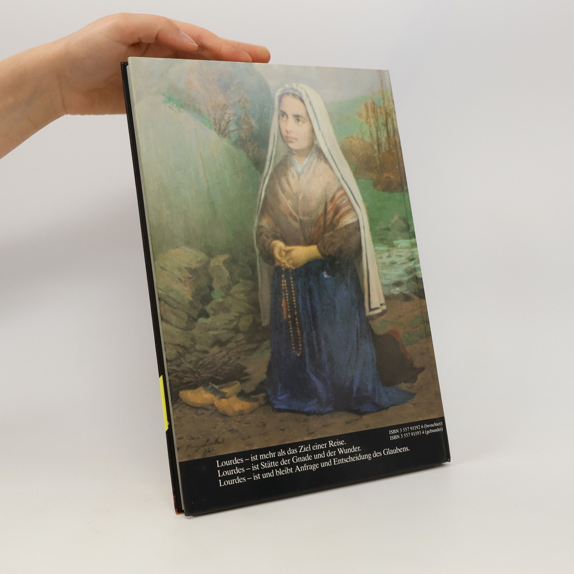 Collectif d'auteurs Lourdes.