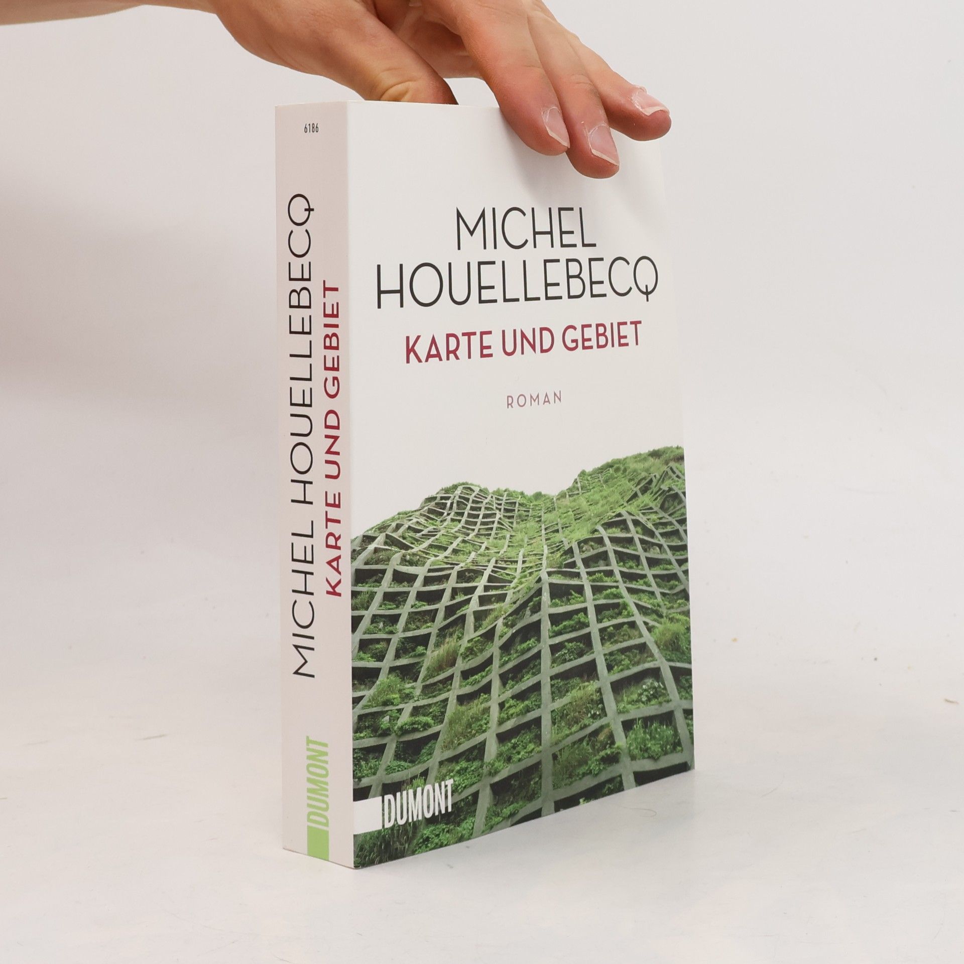 Michel Houellebecq Karte und Gebiet