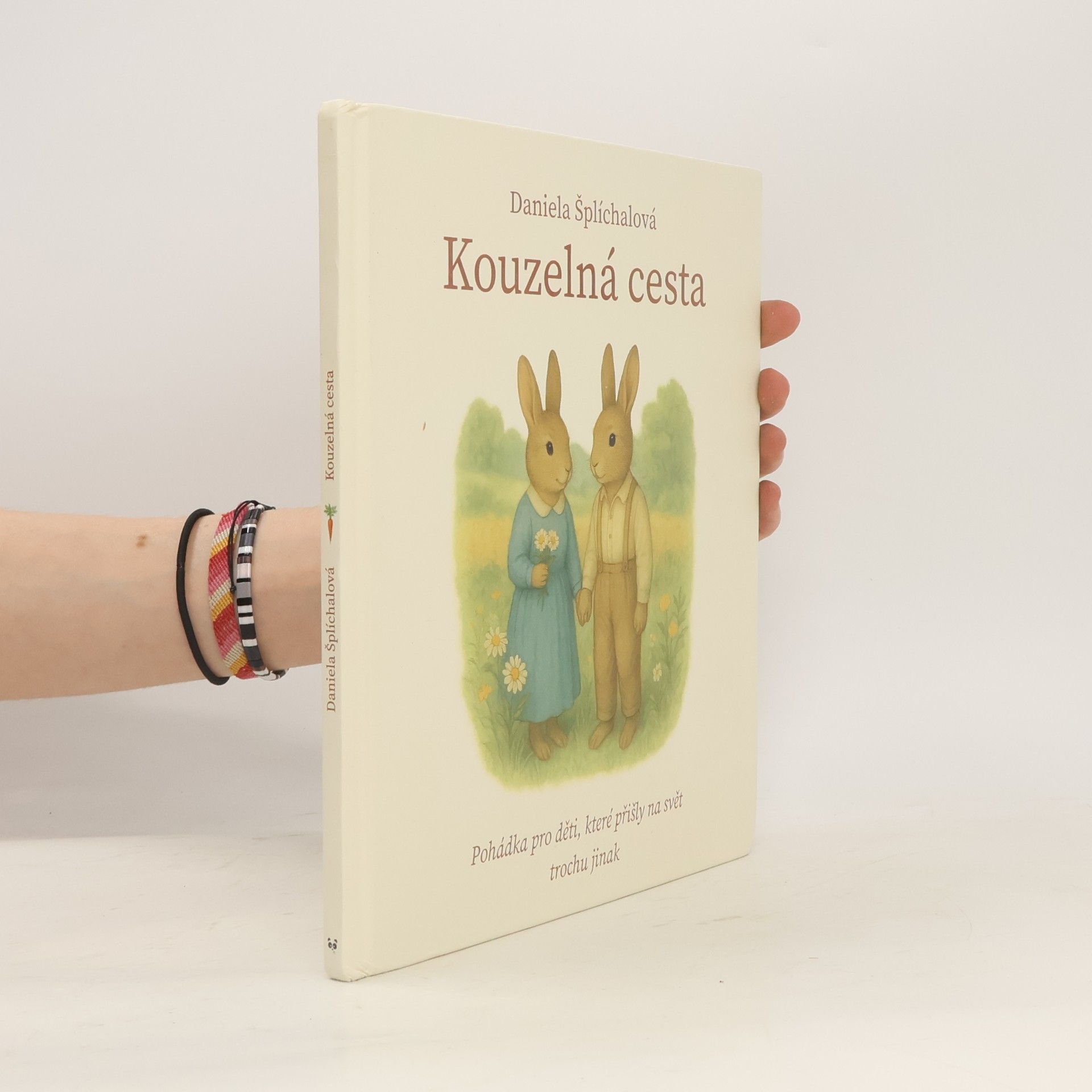 Daniela Šplíchalová Kouzelná cesta