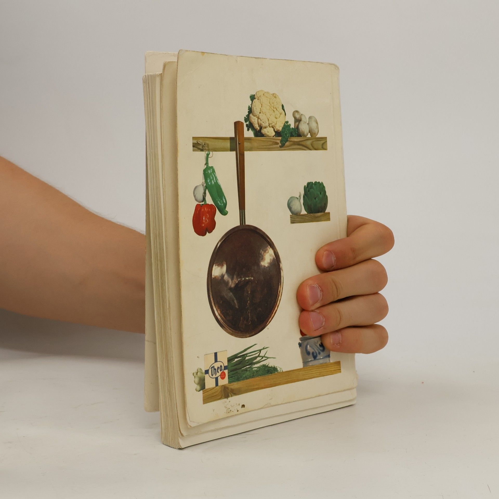 Autores varios Das neue Thea Kochbuch
