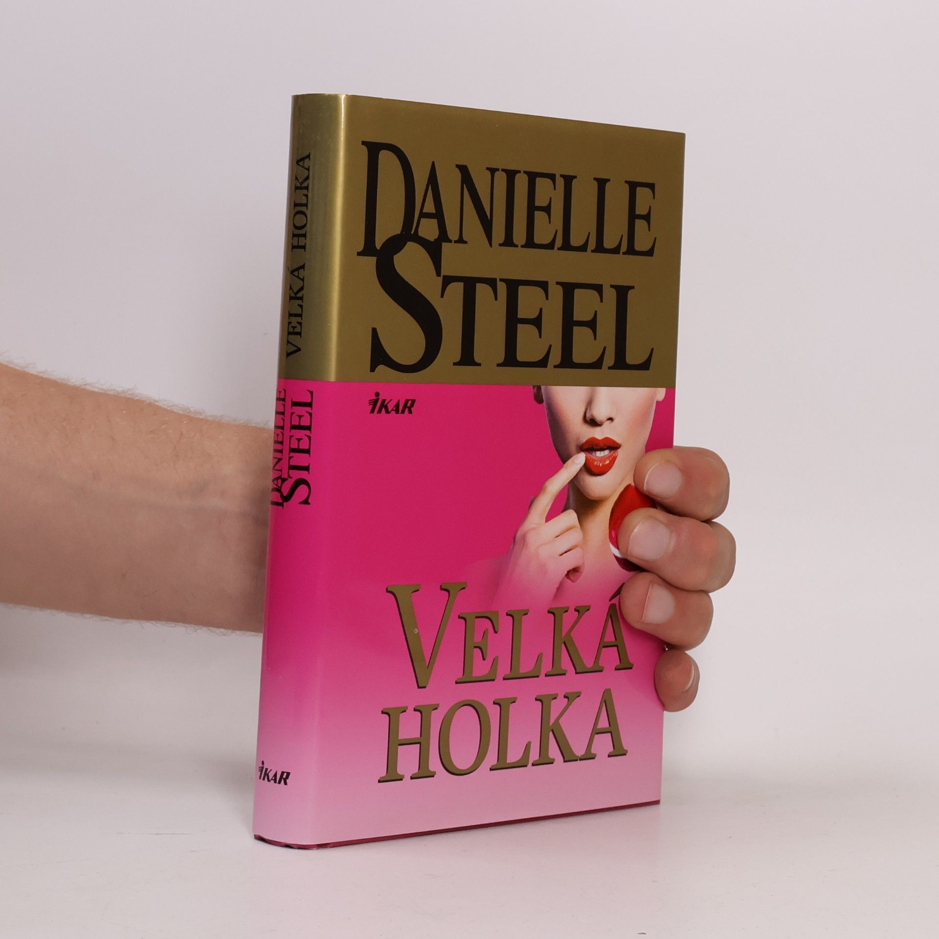 Danielle Steel Velká holka