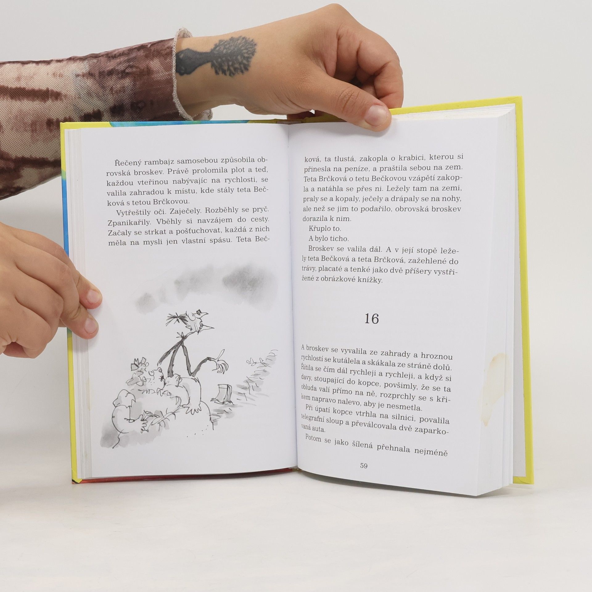 Roald Dahl Jakub a obří broskev