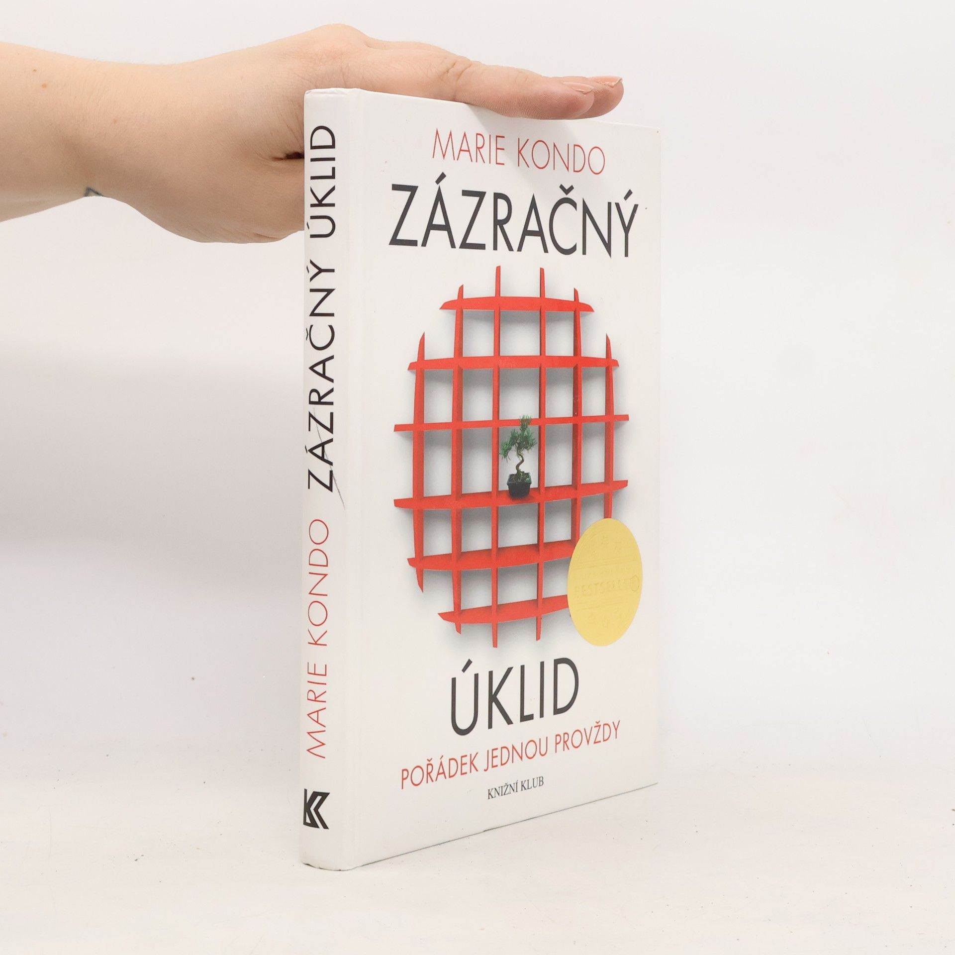 Zázračný úklid