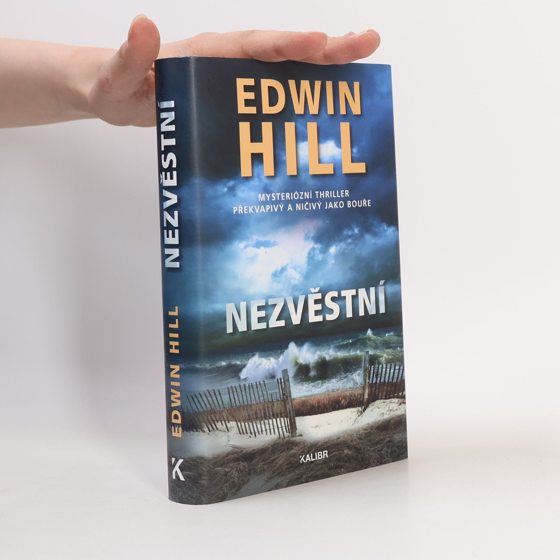 Edwin Hill Nezvěstní