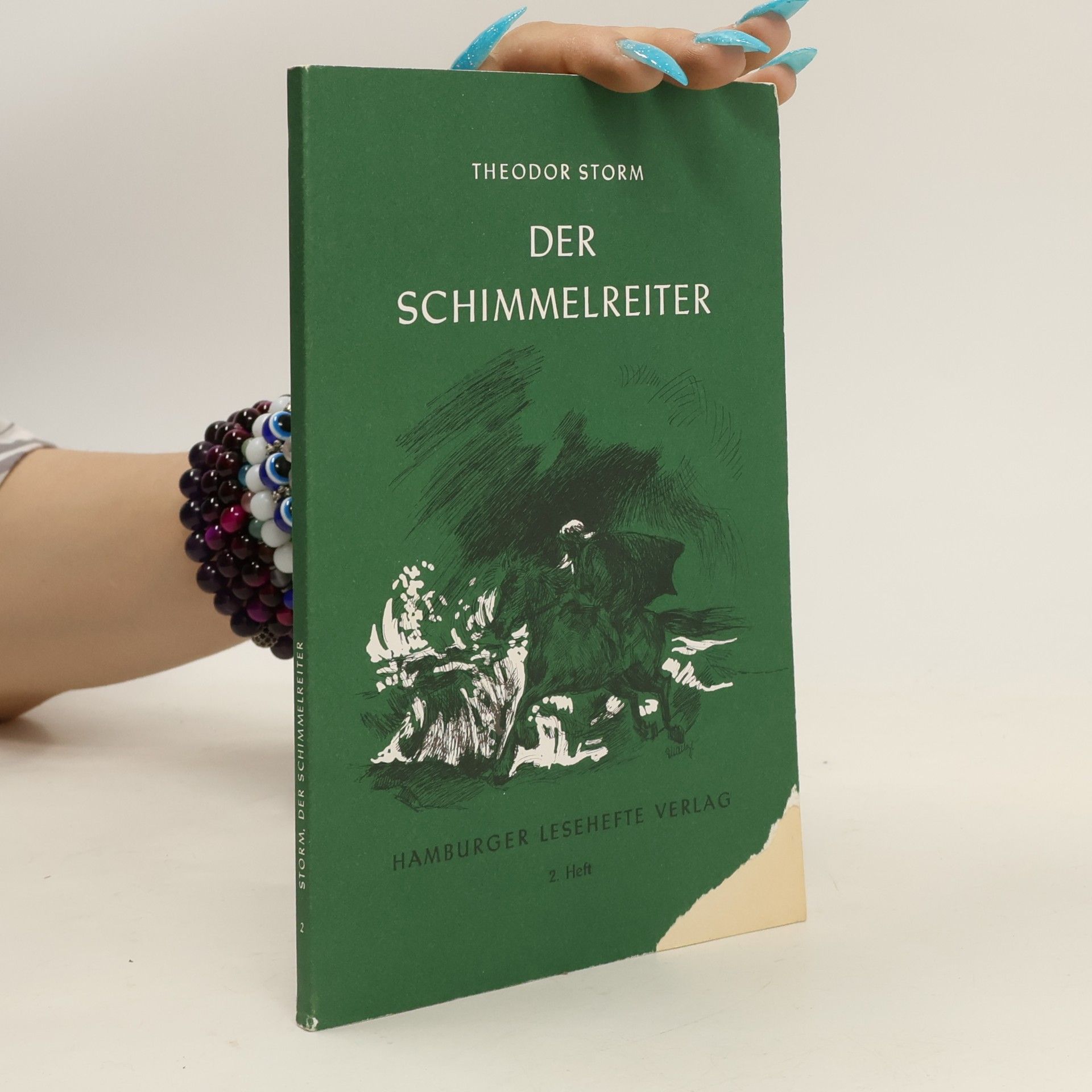 Theodor Storm Der Schimmelreiter